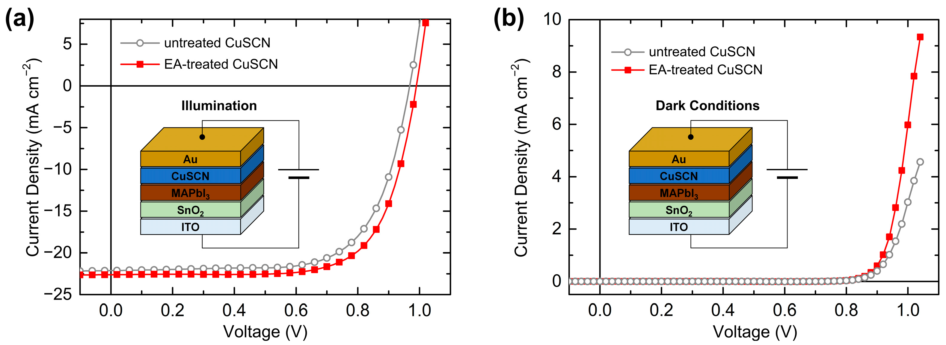 Molecules 29 04440 g010