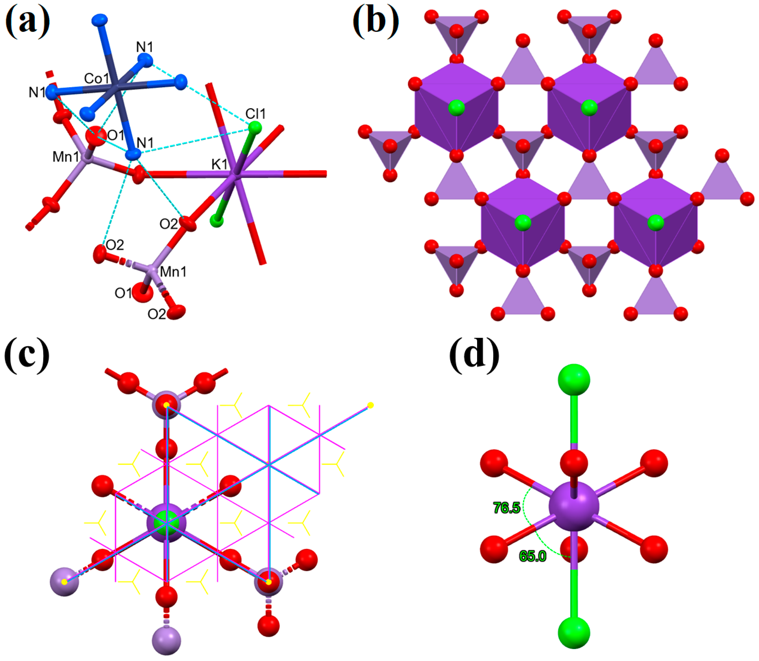 Molecules 29 04443 g001