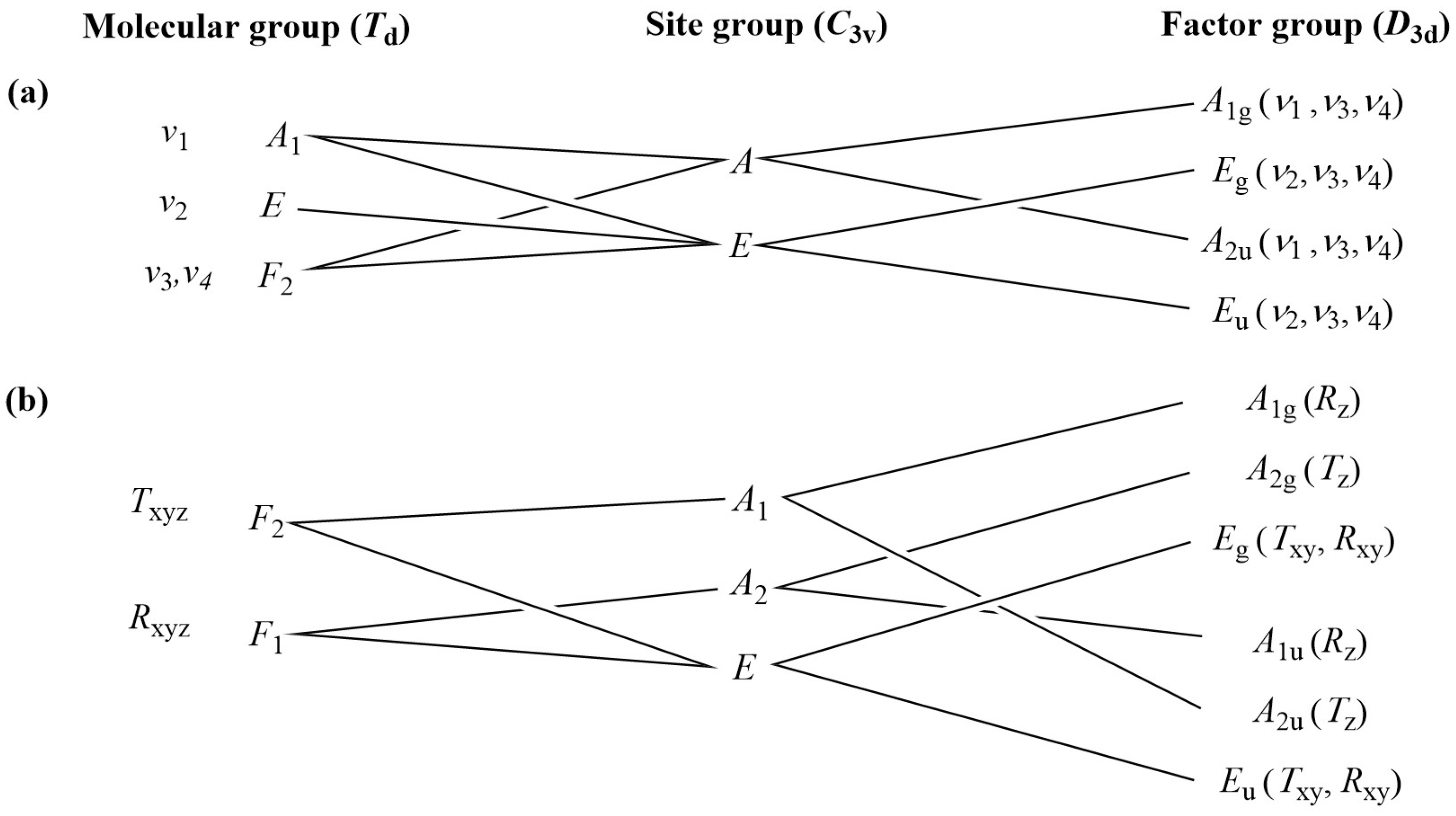 Molecules 29 04443 g007