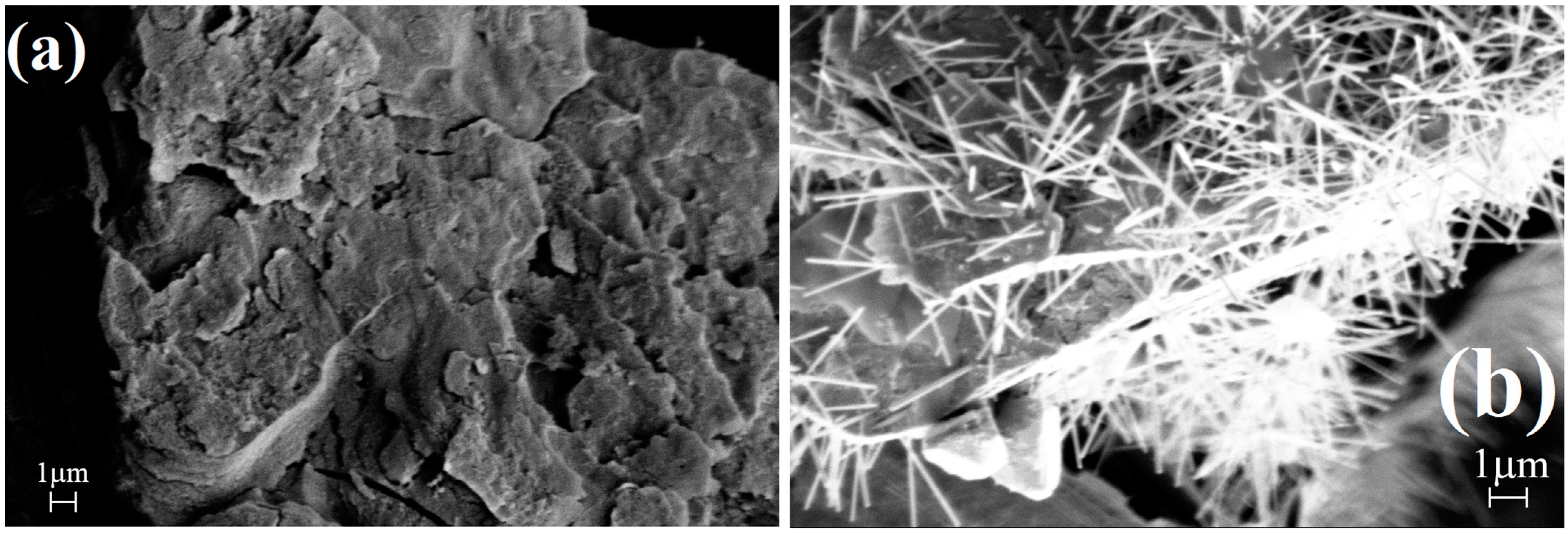 Molecules 29 04443 g009