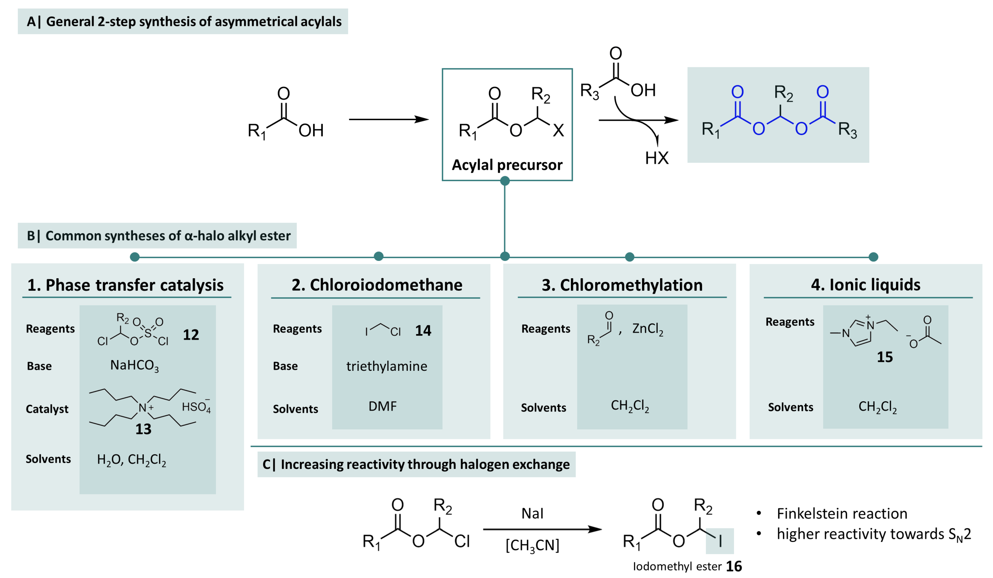Molecules 29 04451 g005