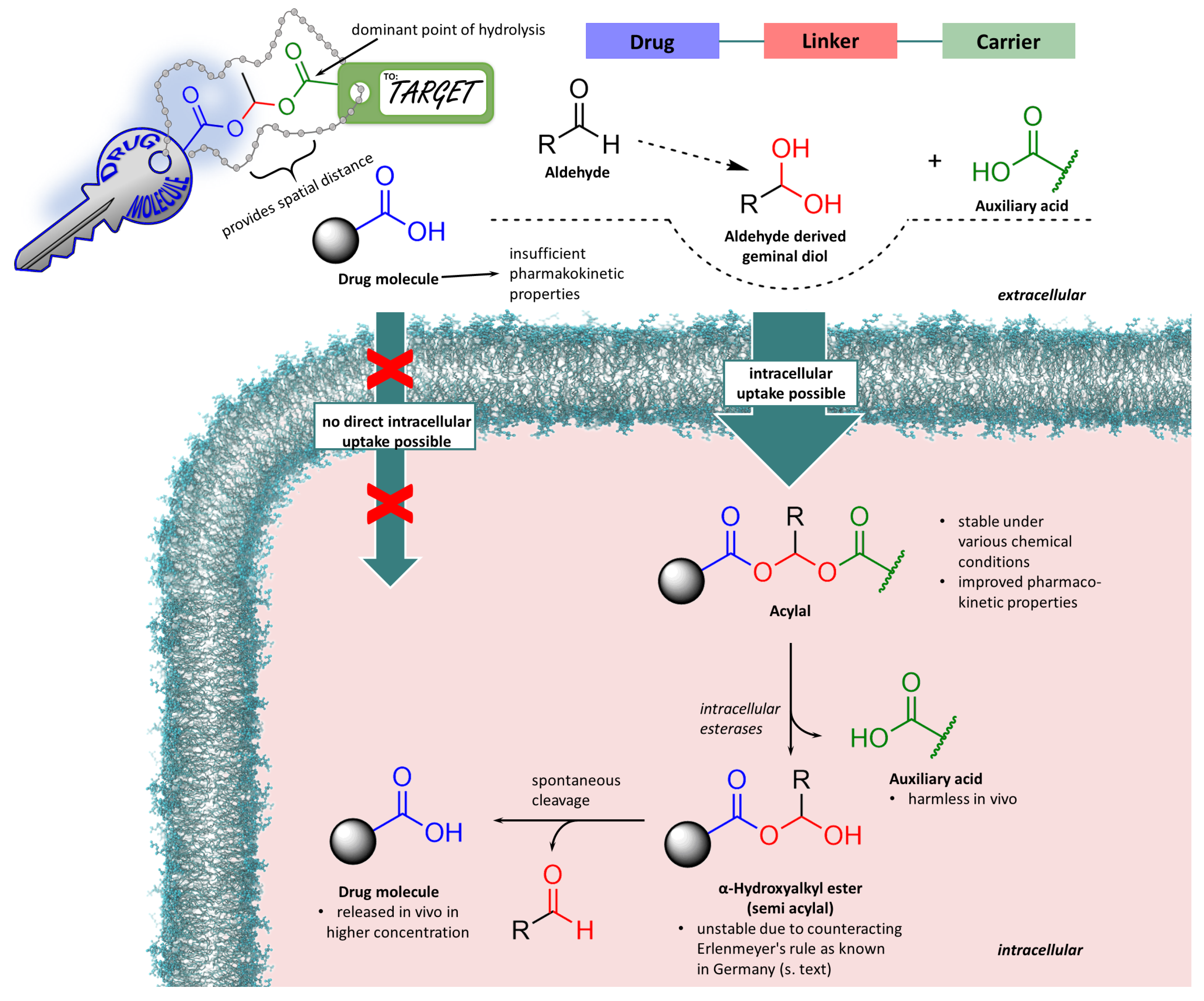 Molecules 29 04451 g006