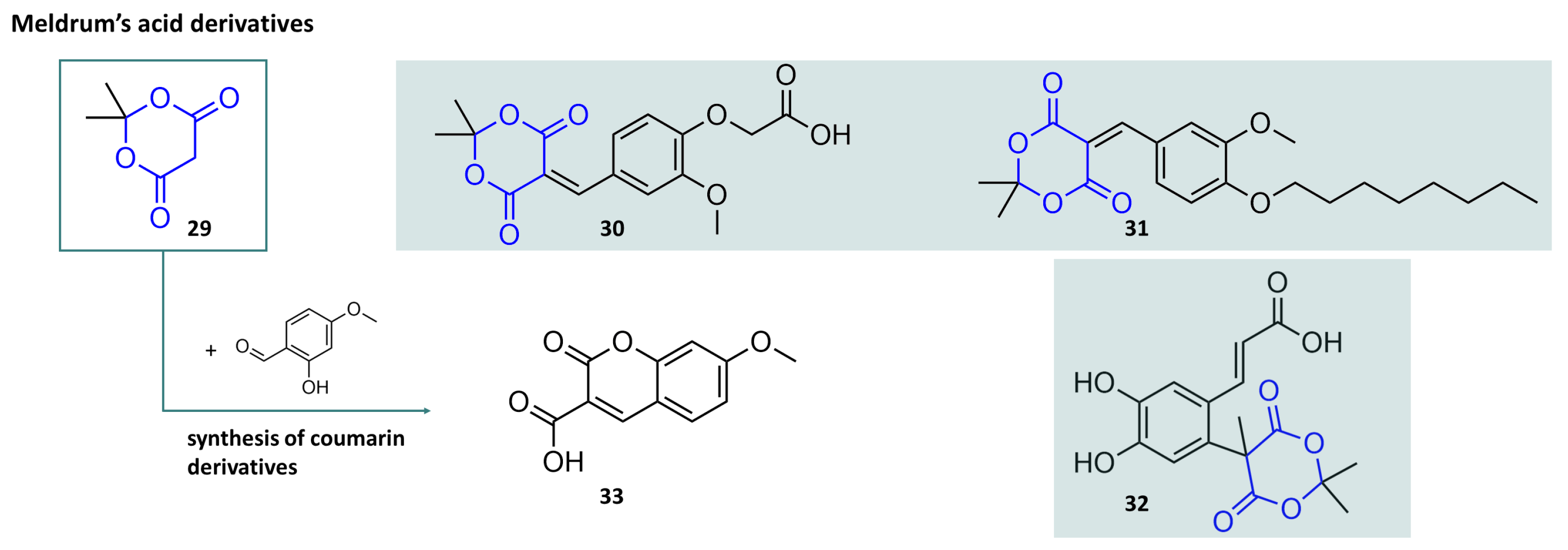 Molecules 29 04451 g008