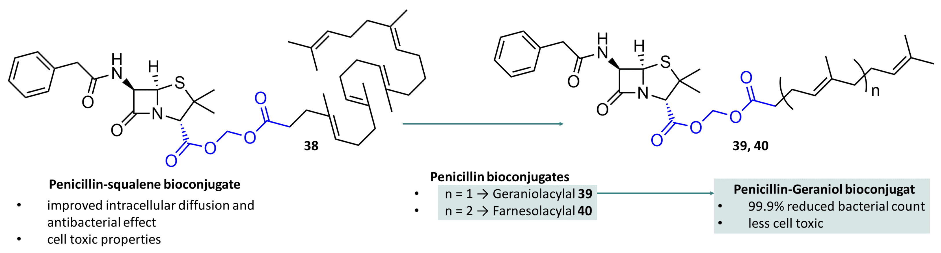 Molecules 29 04451 g011
