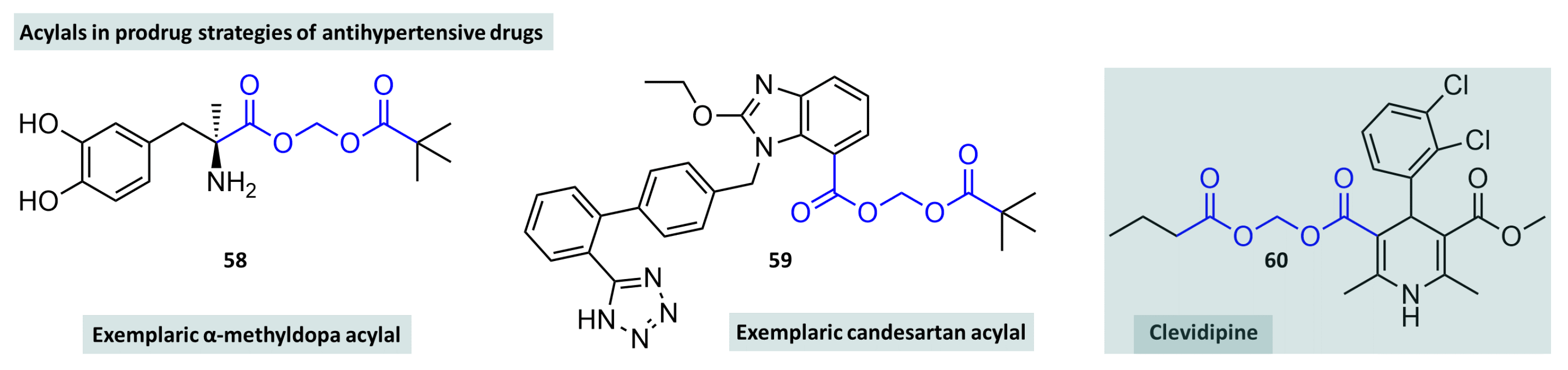 Molecules 29 04451 g016