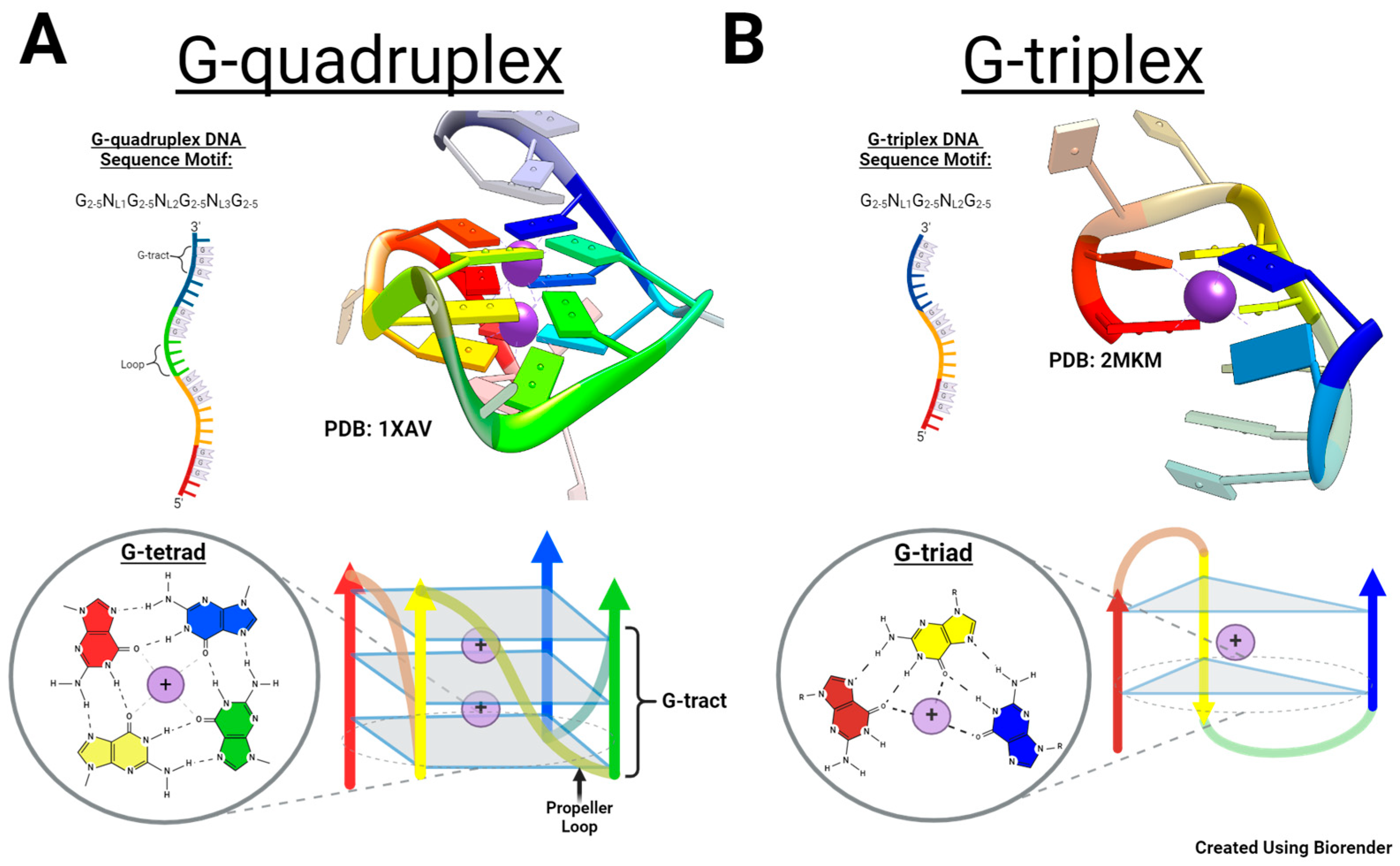 Molecules 29 04457 g001