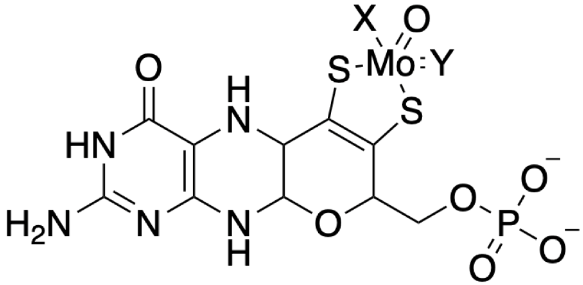 Molecules 29 04458 g001