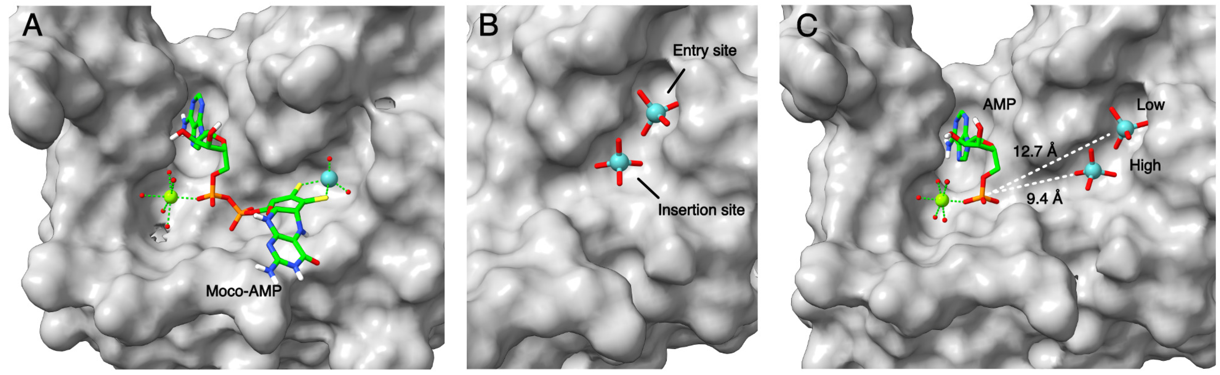 Molecules 29 04458 g007