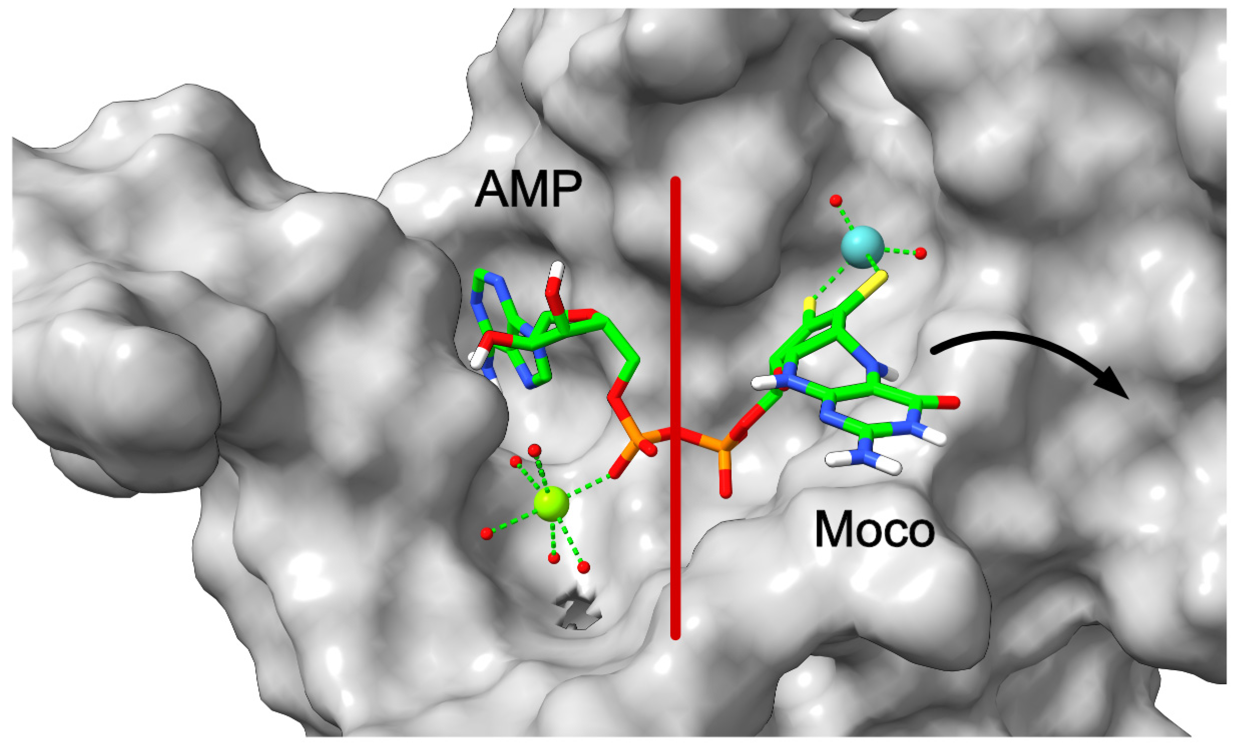 Molecules 29 04458 g009