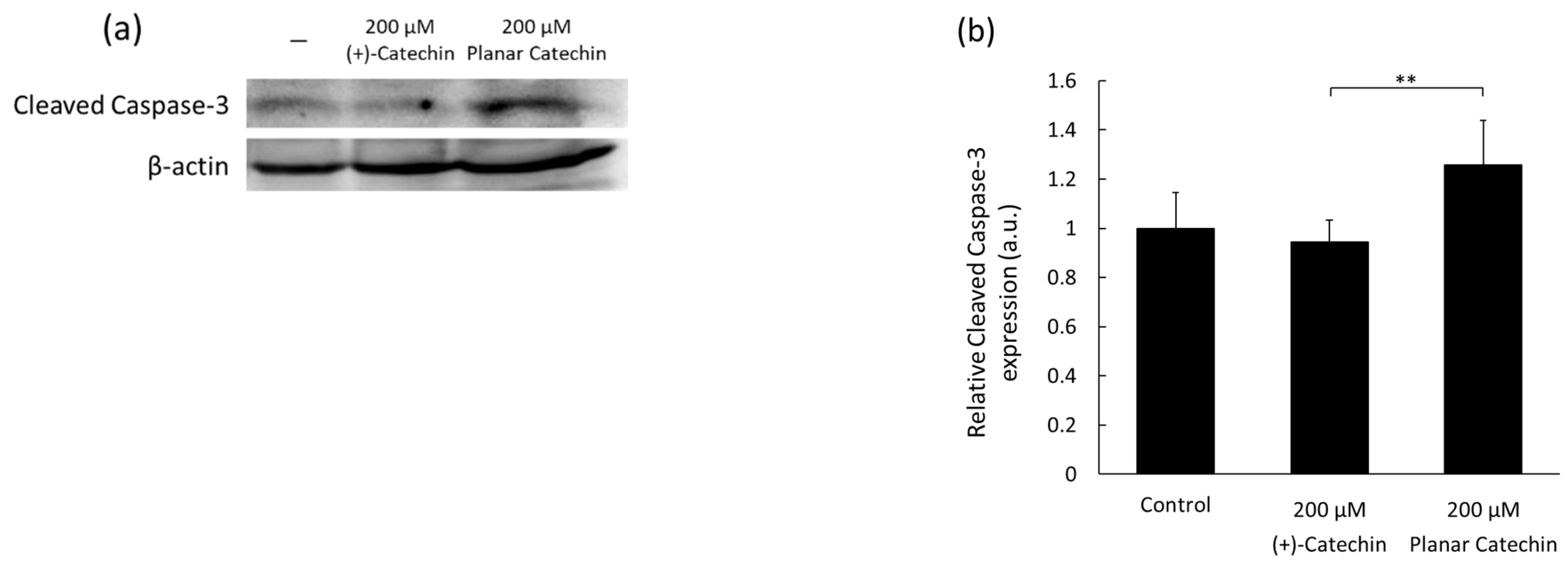 Molecules 29 04467 g001a