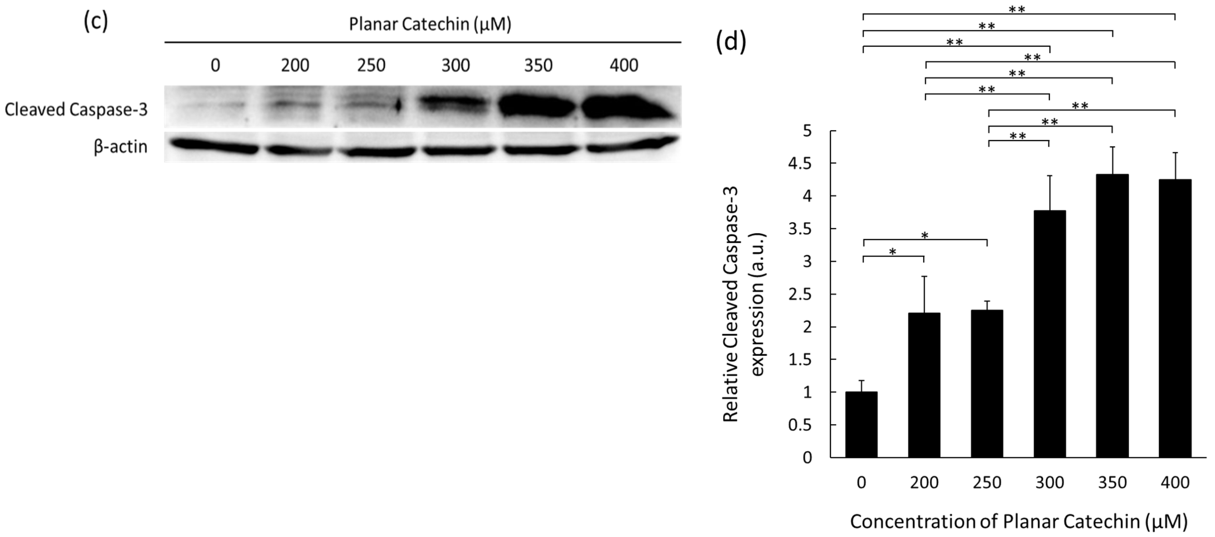 Molecules 29 04467 g001b