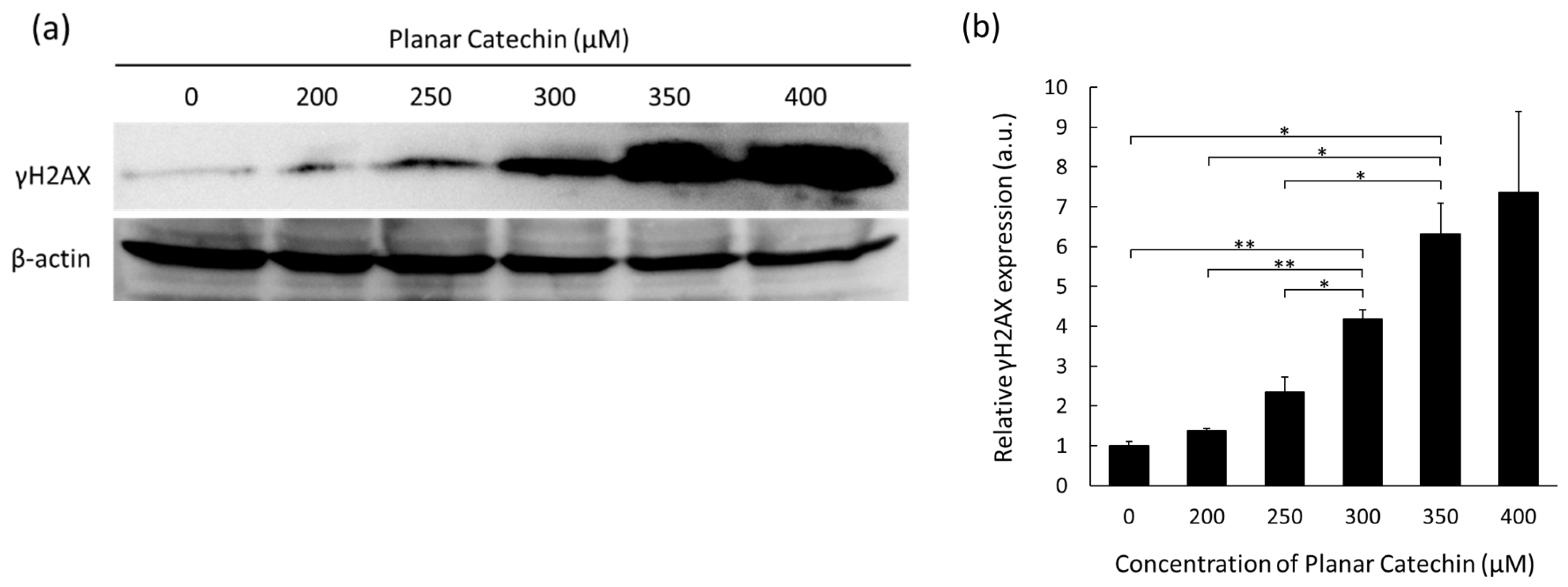 Molecules 29 04467 g002