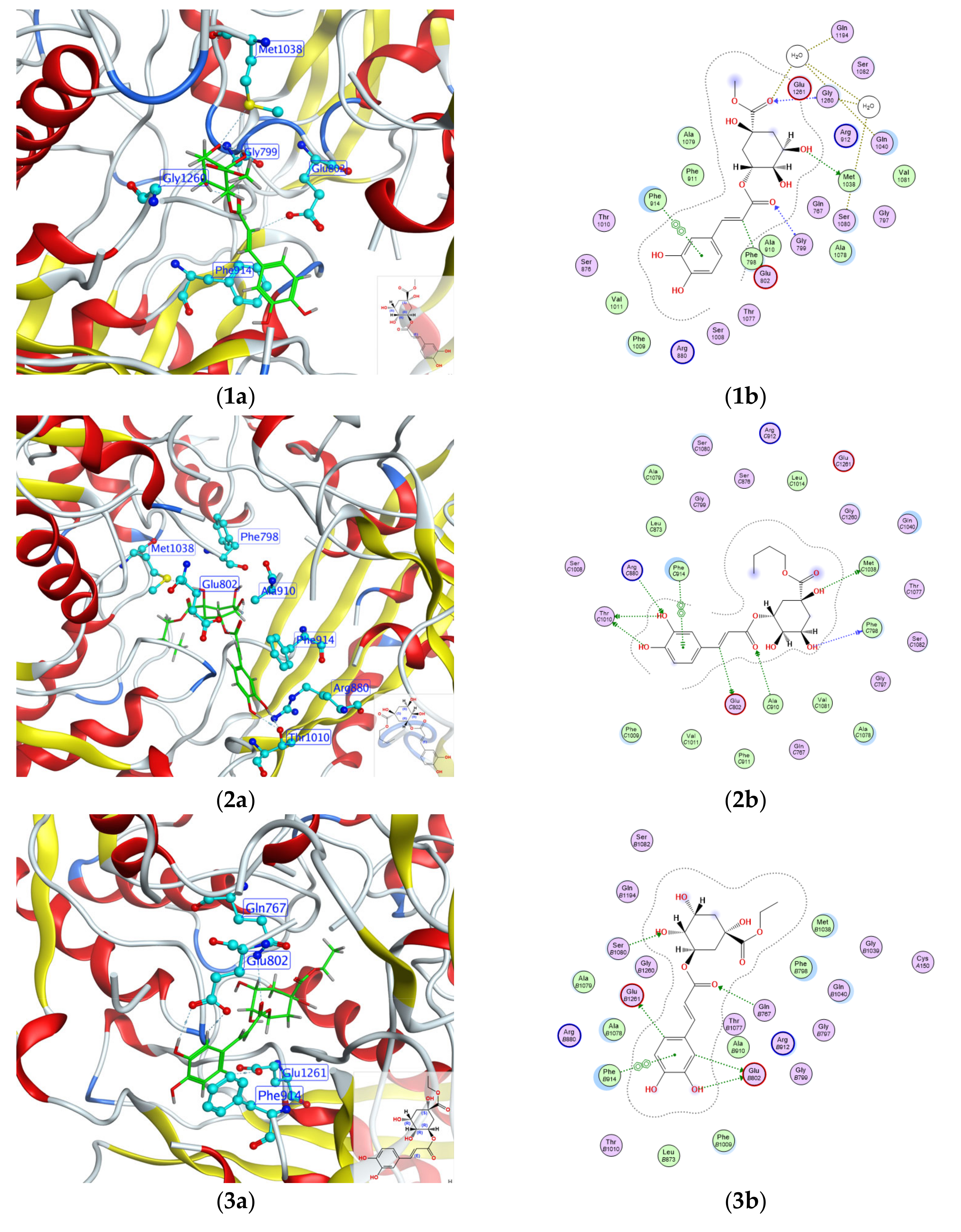 Molecules 29 04468 g004a