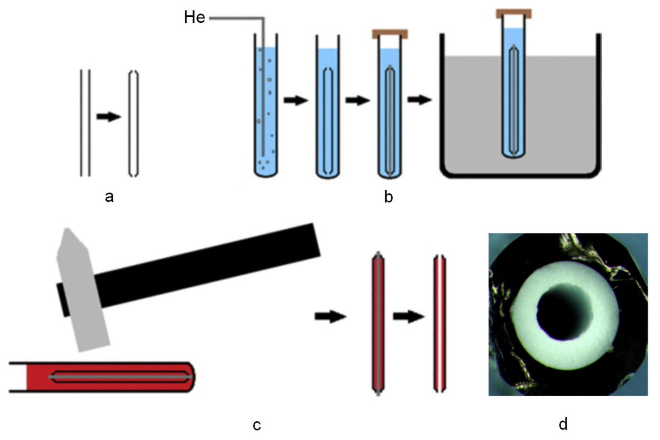 Molecules 29 04472 g005