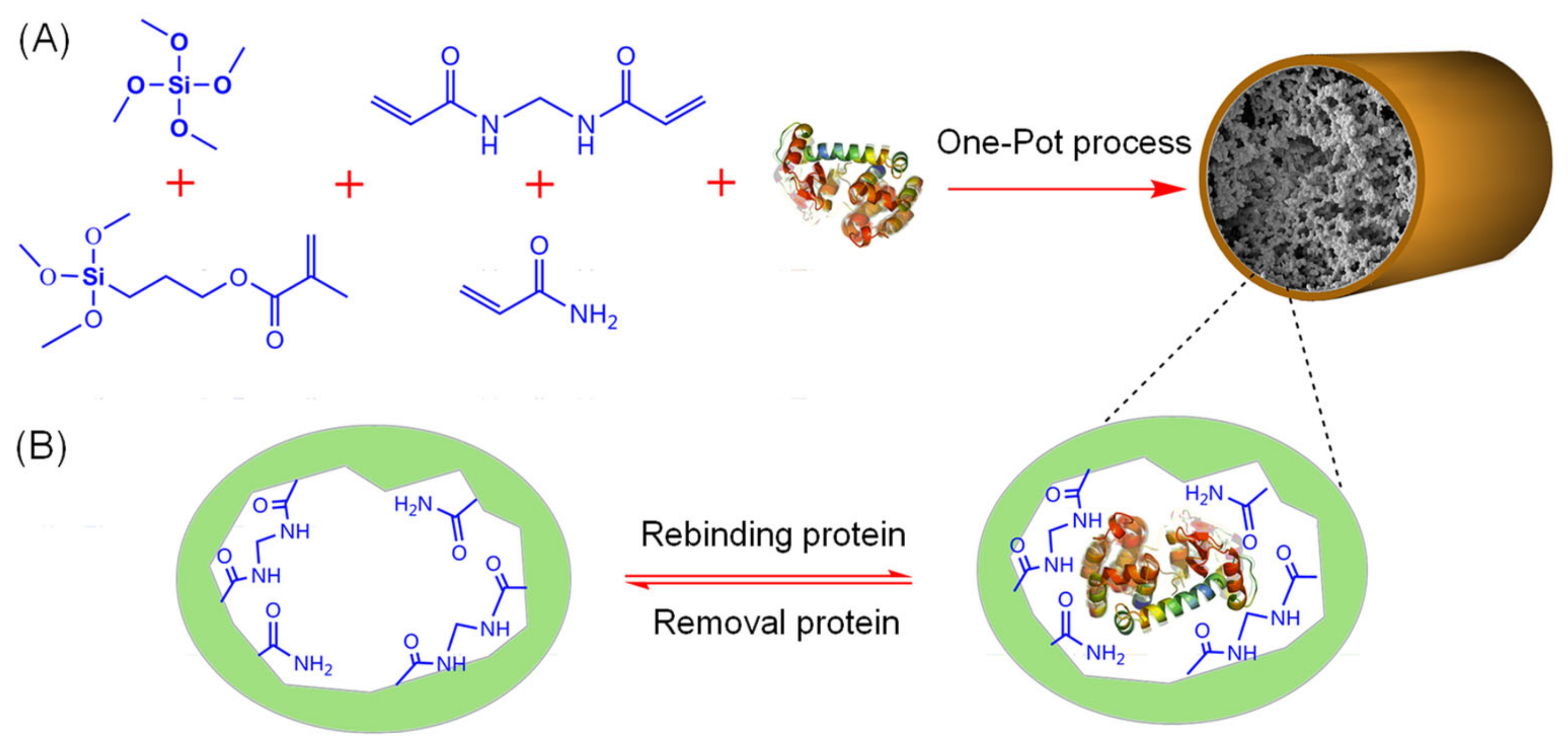 Molecules 29 04472 g007