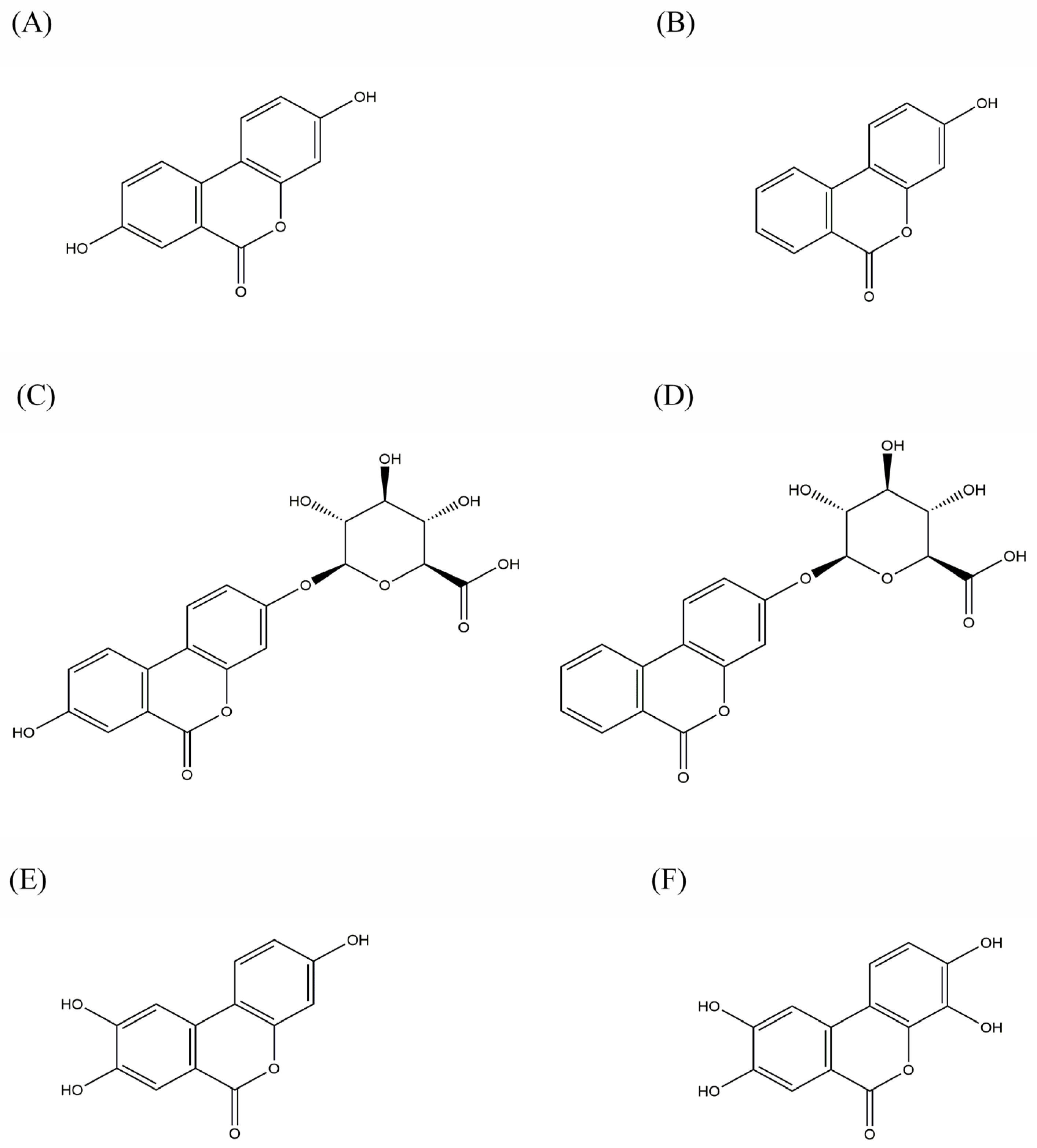 Molecules 29 04474 g001