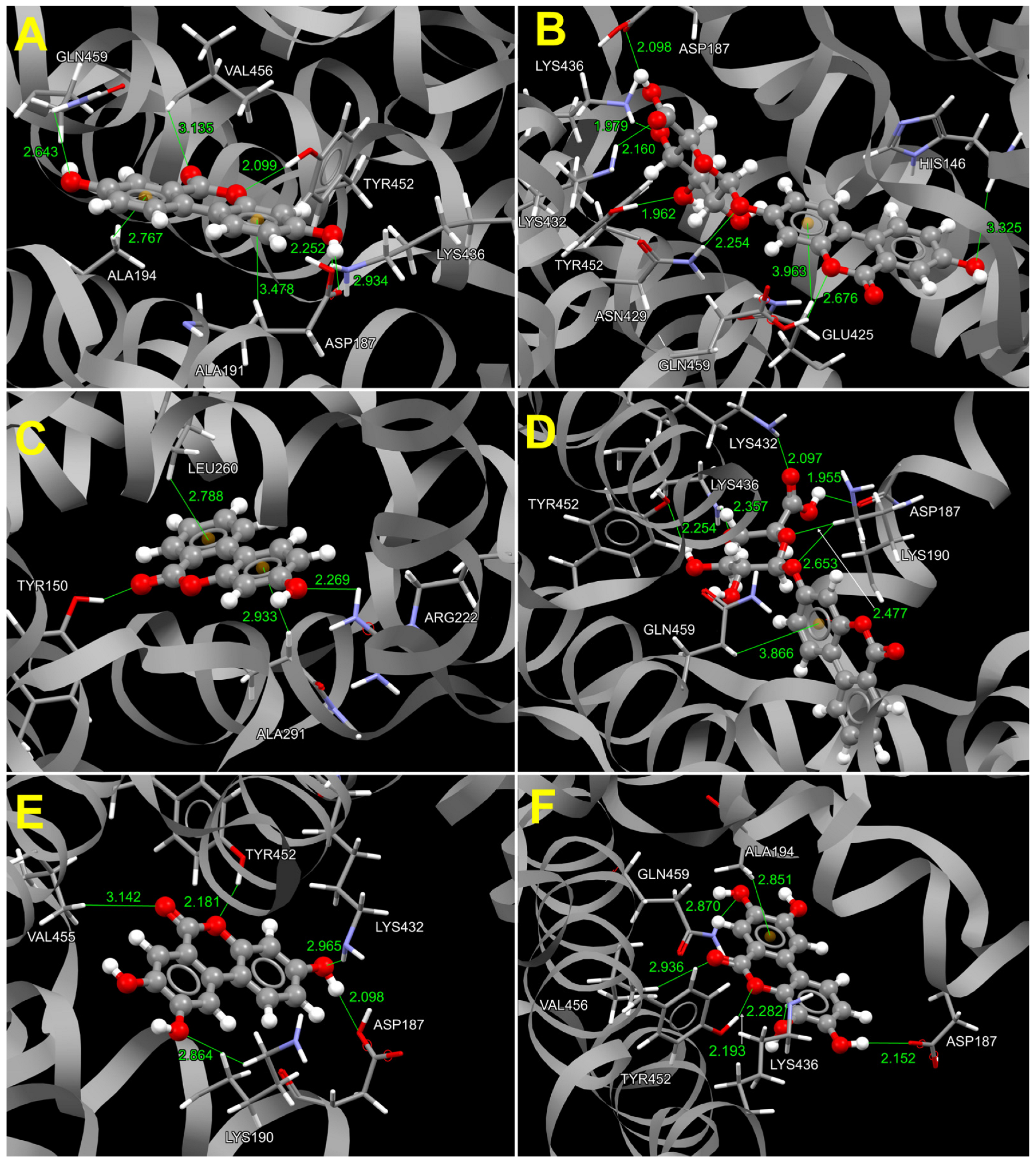 Molecules 29 04474 g009