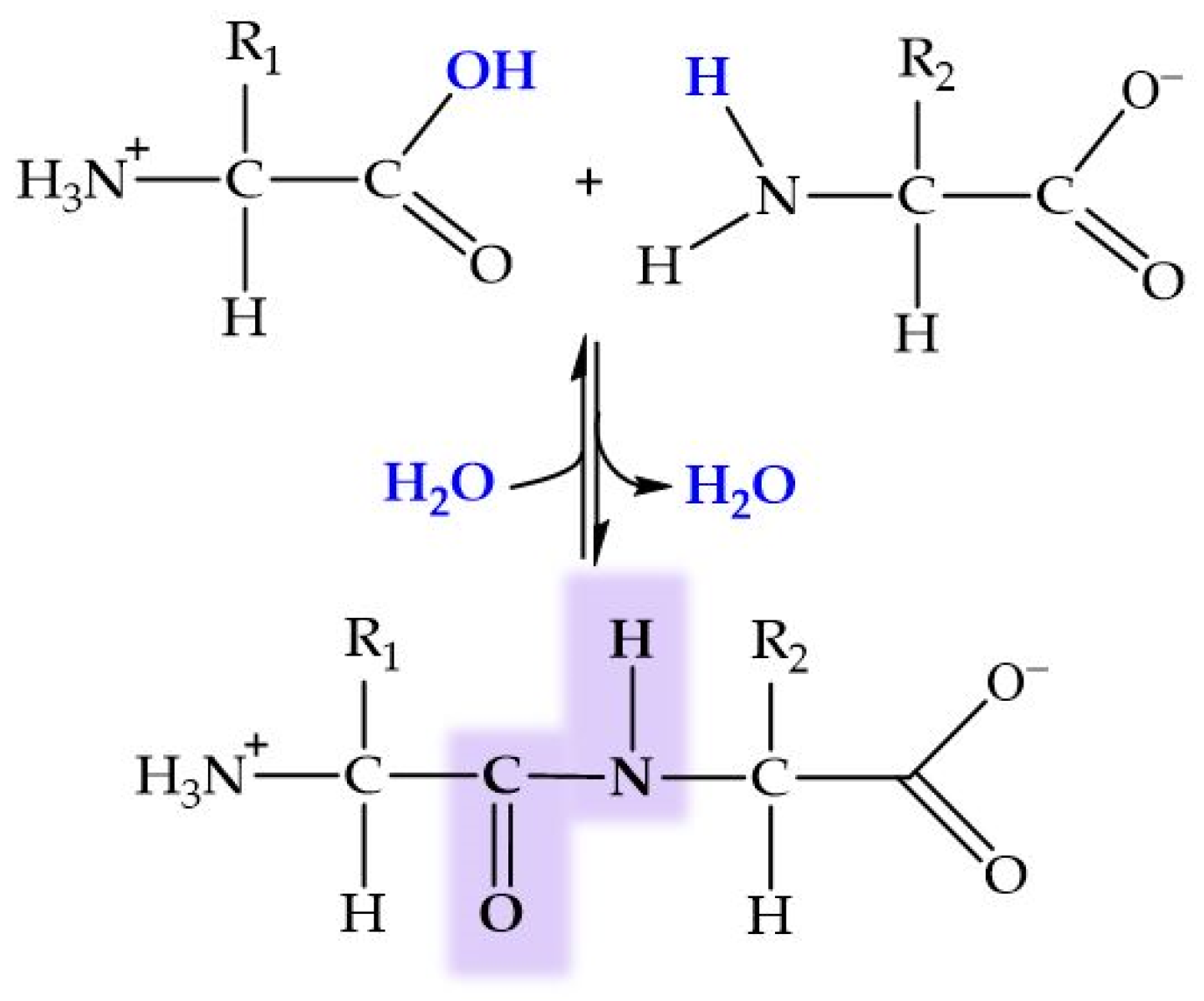 Molecules 29 04479 g006 Molecules 29 04479 g006