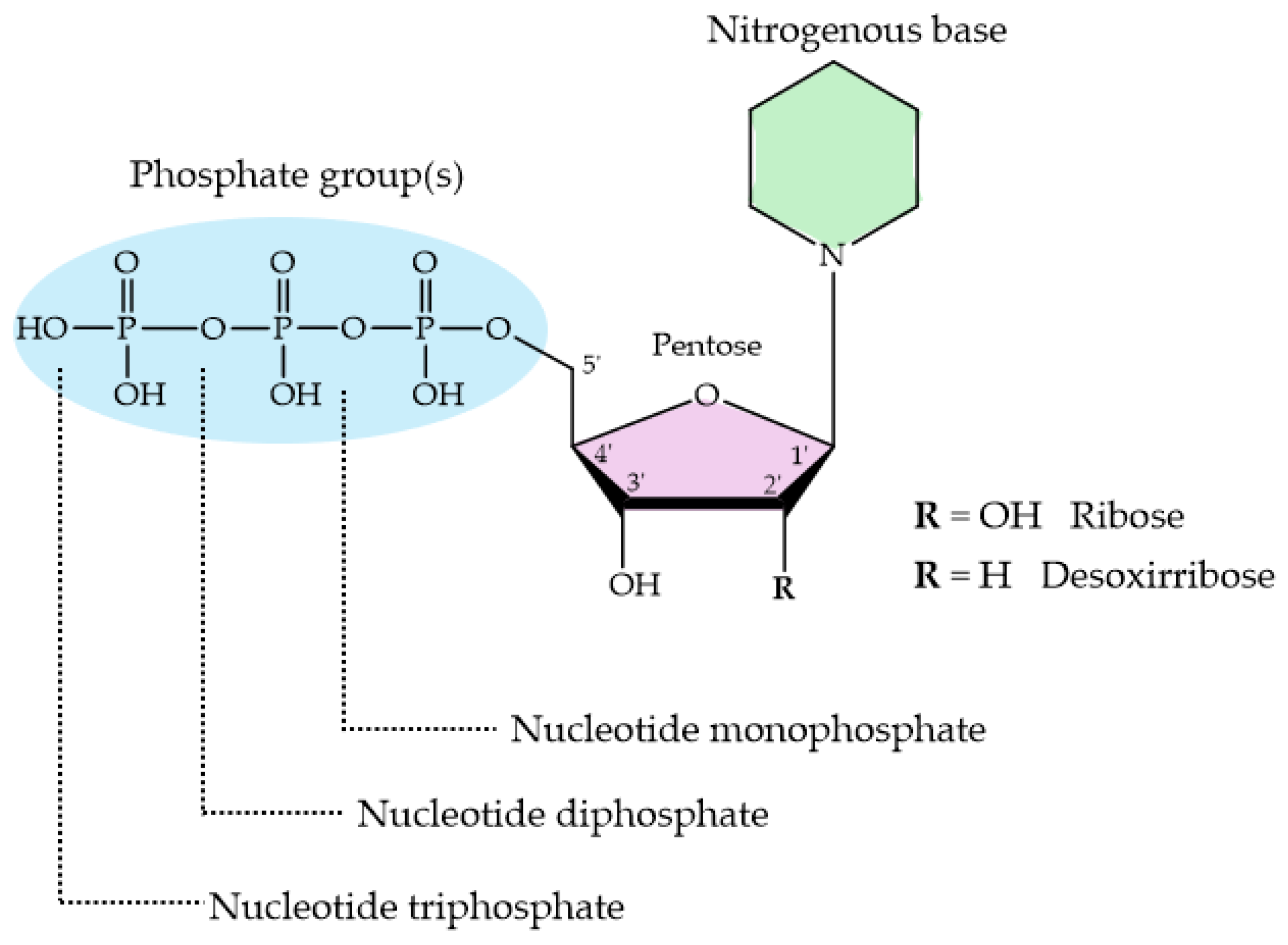 Molecules 29 04479 g009 Molecules 29 04479 g009