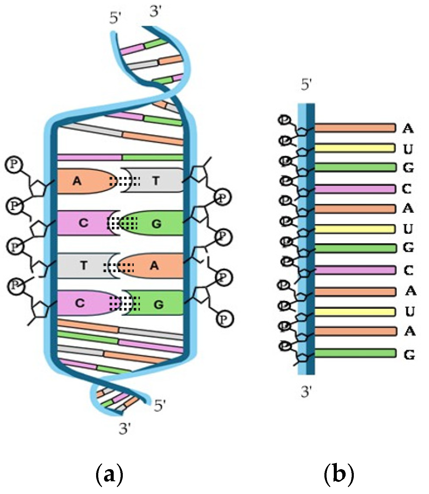 Molecules 29 04479 g010 Molecules 29 04479 g010