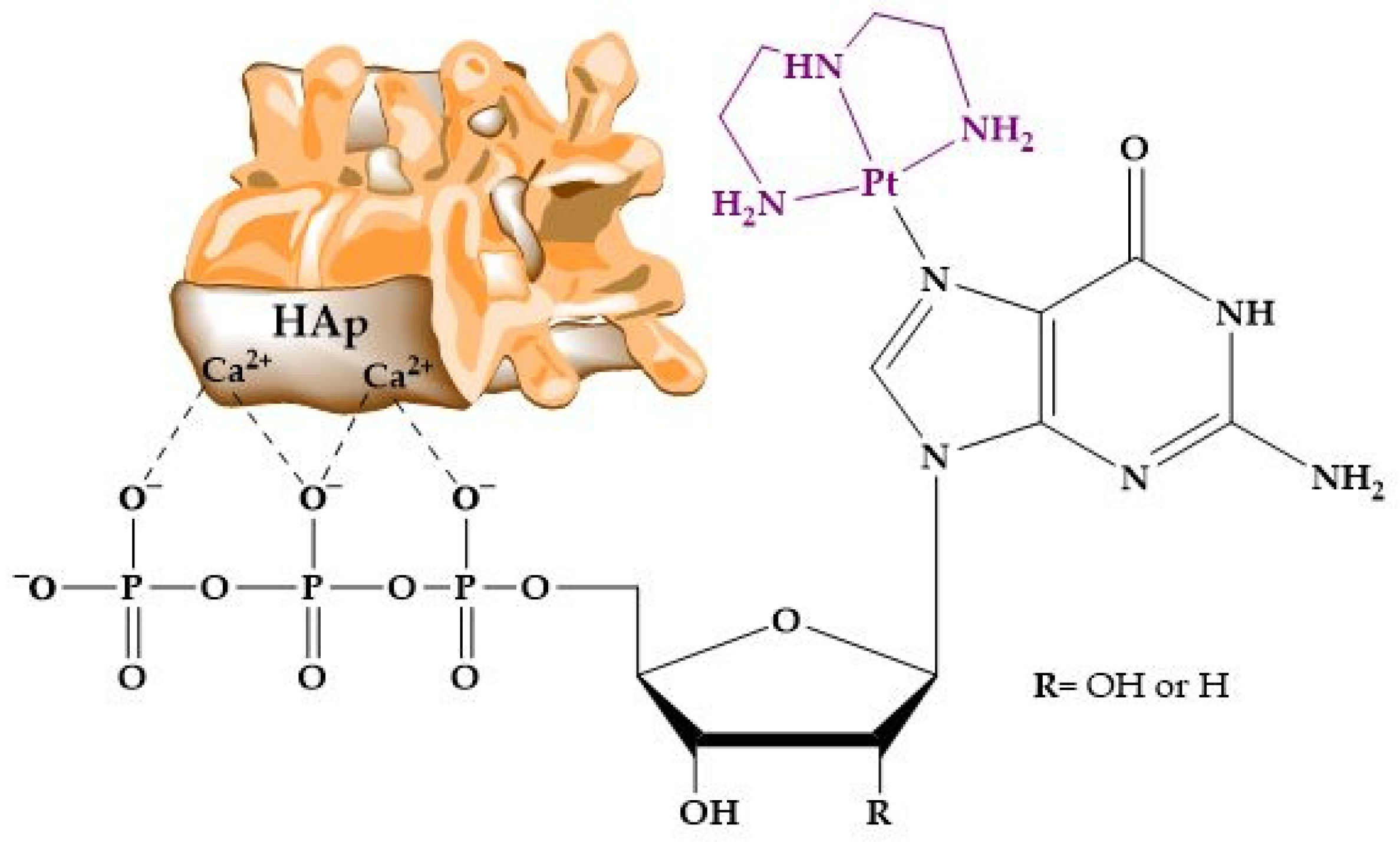 Molecules 29 04479 g011 Molecules 29 04479 g011