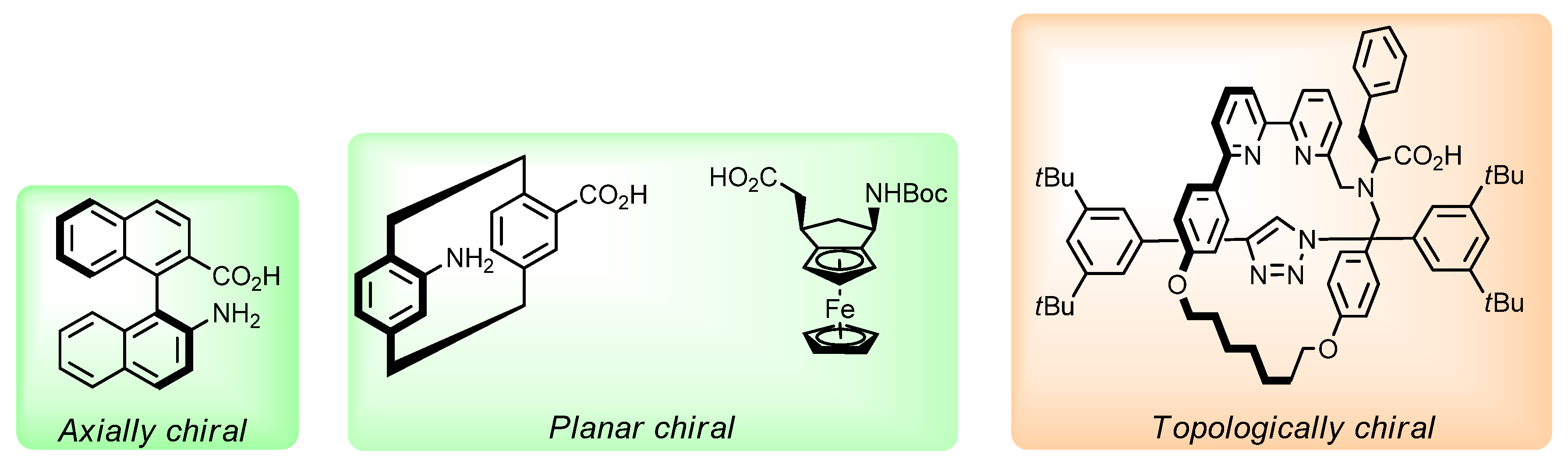 Molecules 29 04487 g001 Molecules 29 04487 g001