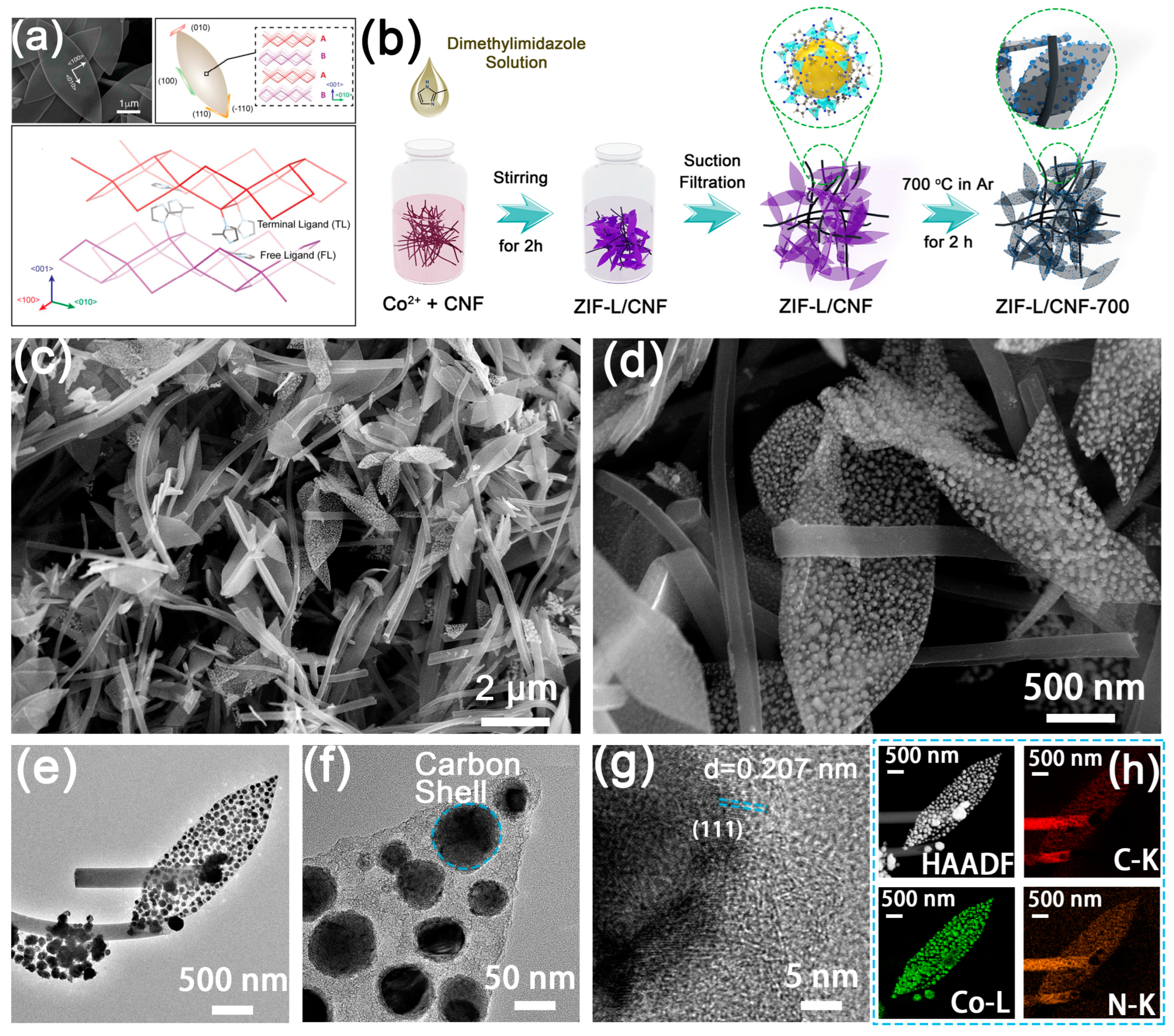 Molecules 29 04494 g001