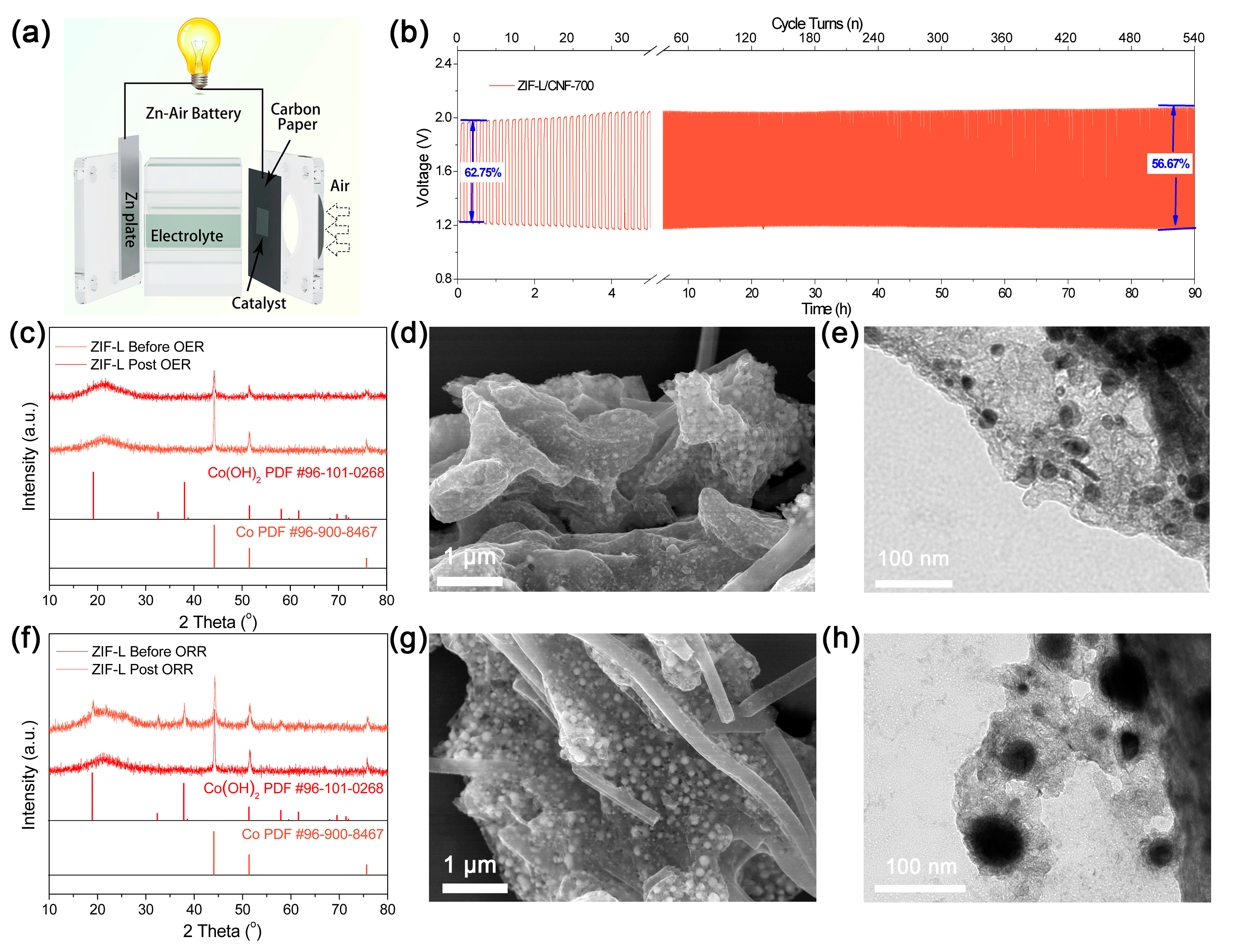 Molecules 29 04494 g004