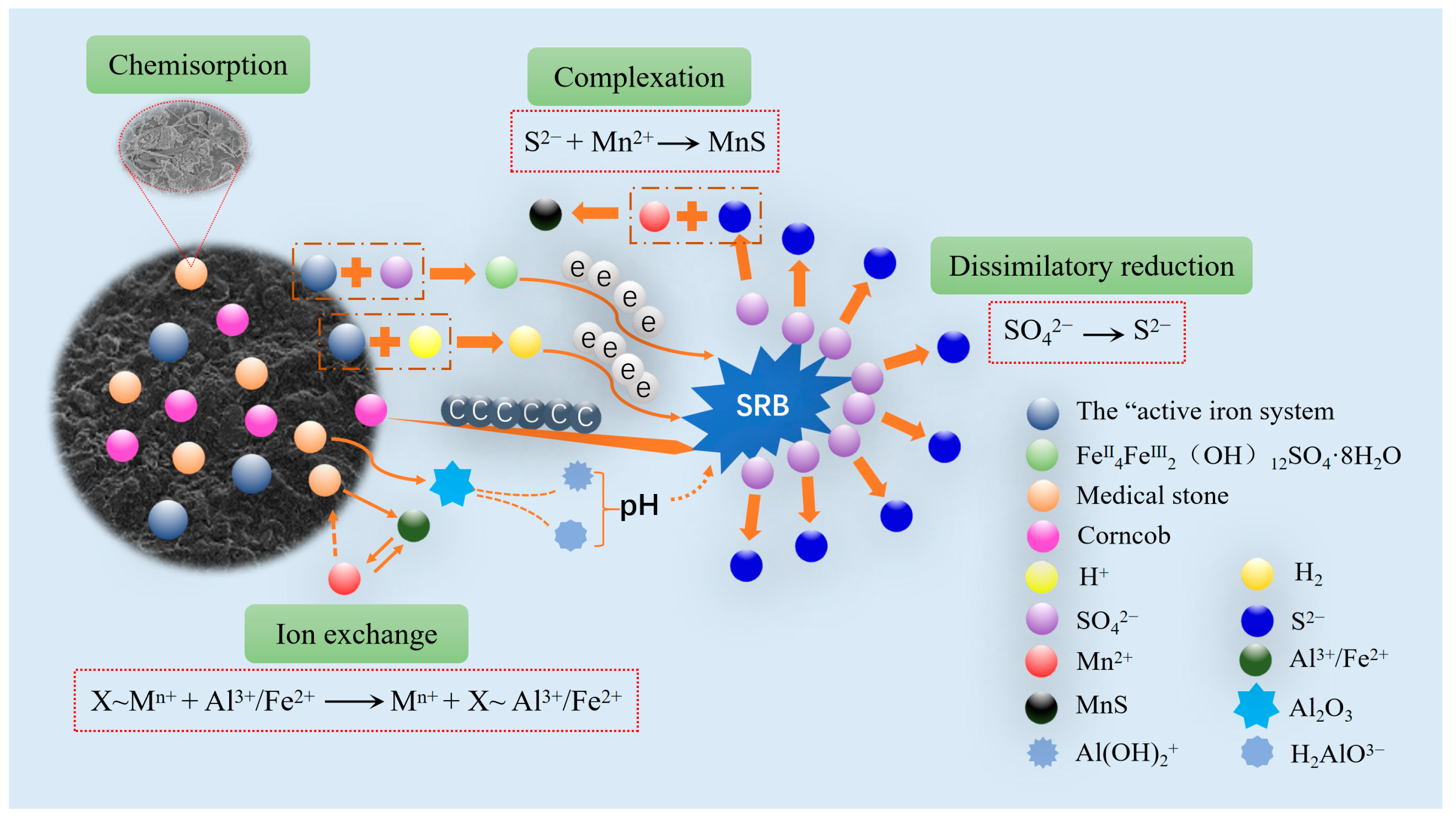 Molecules 29 04497 g007