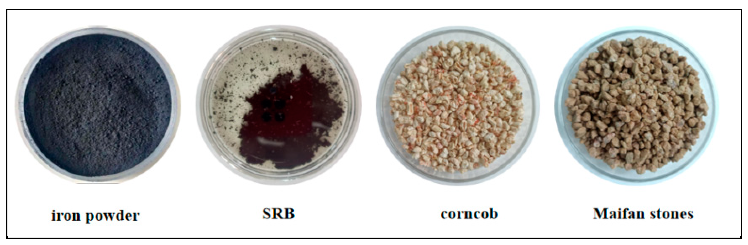 Molecules 29 04497 g011
