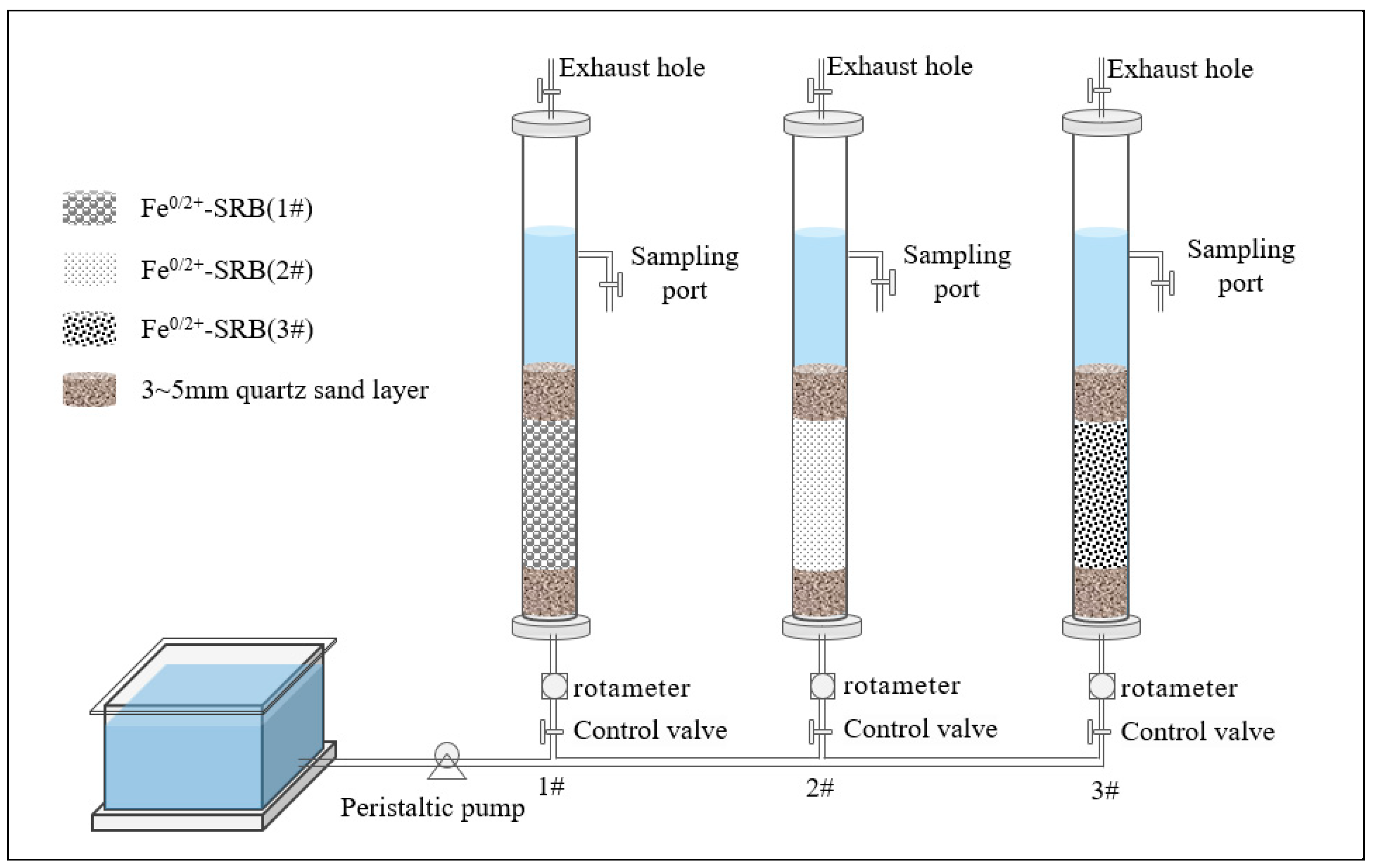 Molecules 29 04497 g013