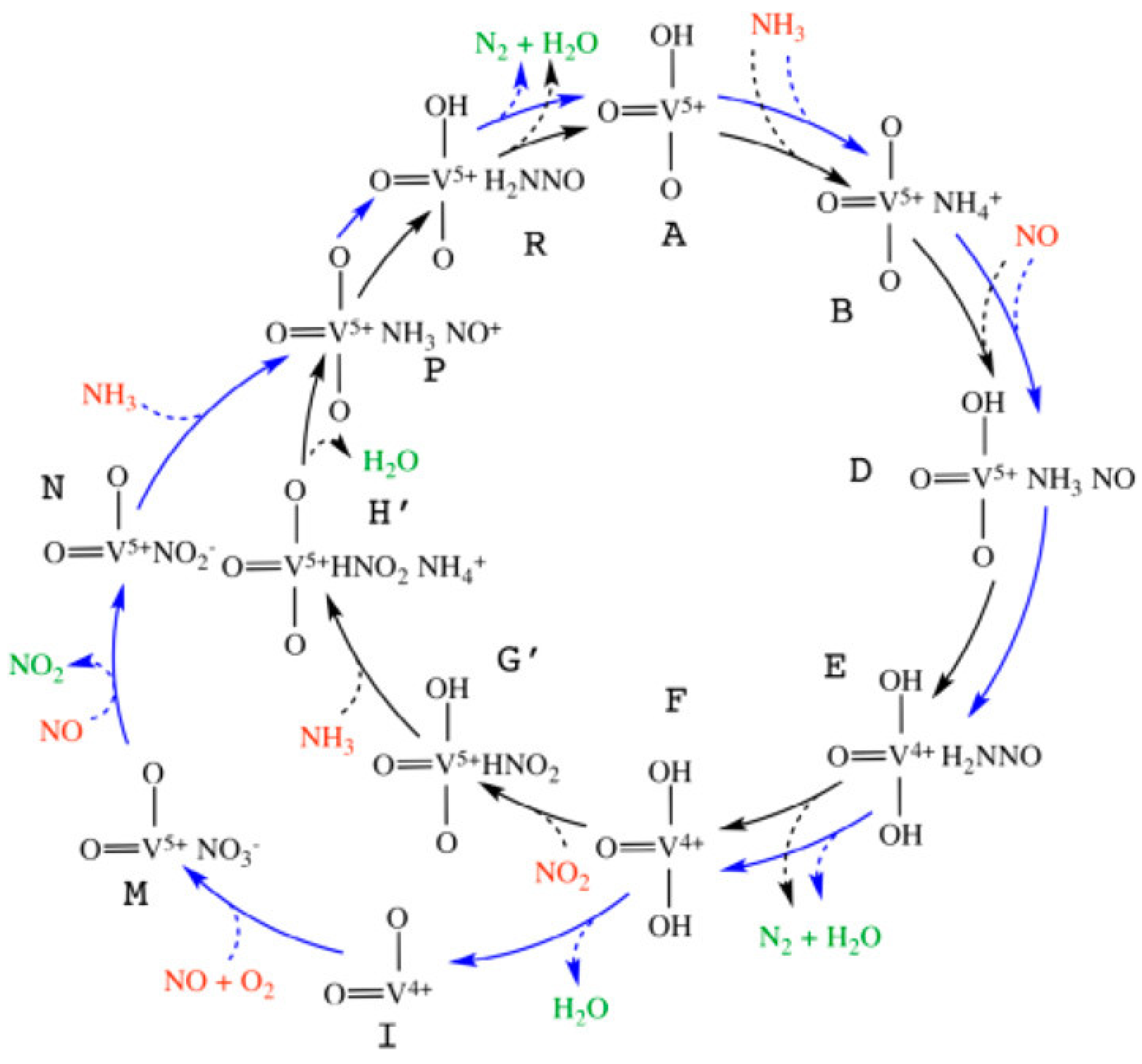 Molecules 29 04506 g001