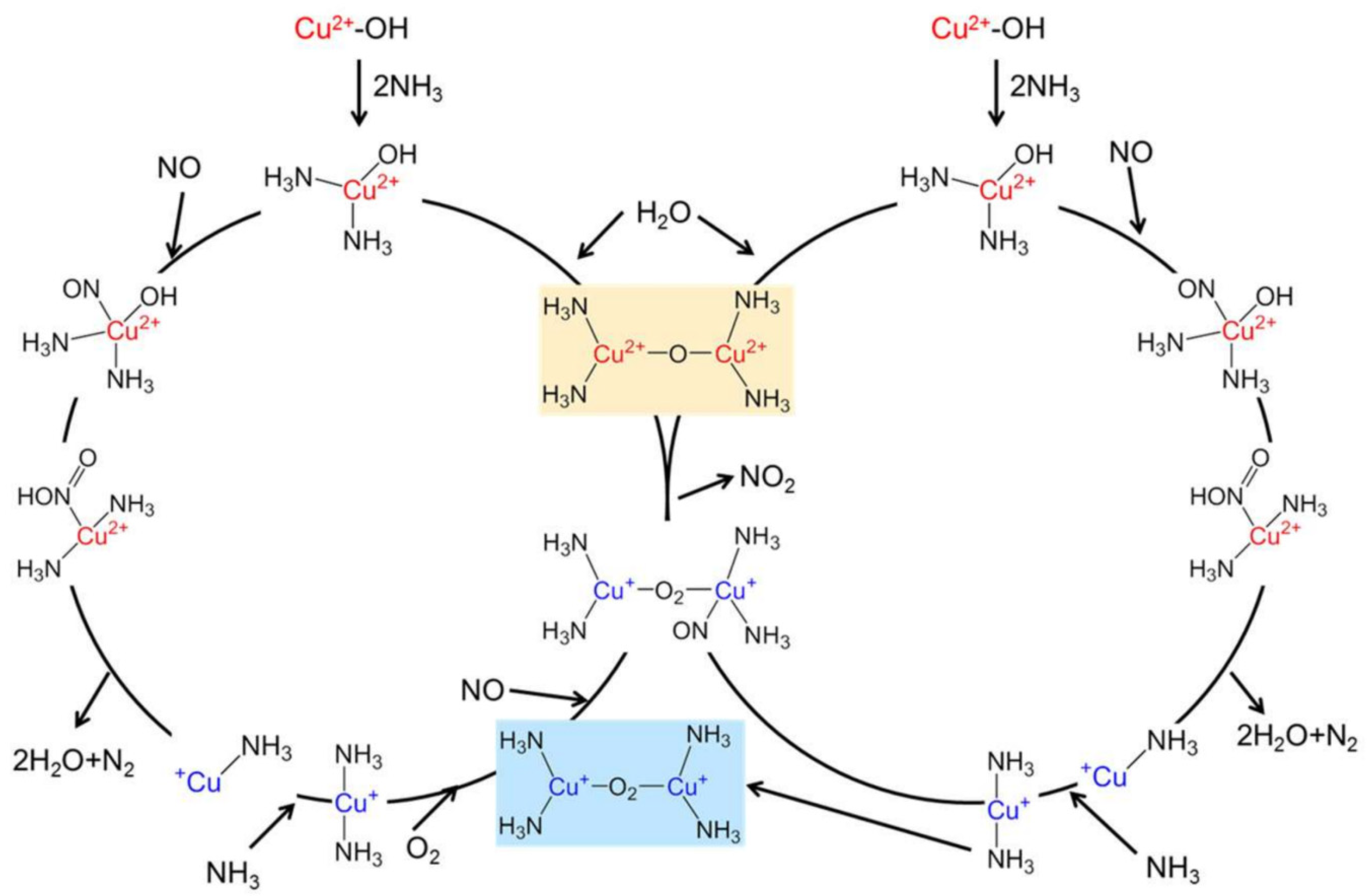 Molecules 29 04506 g002