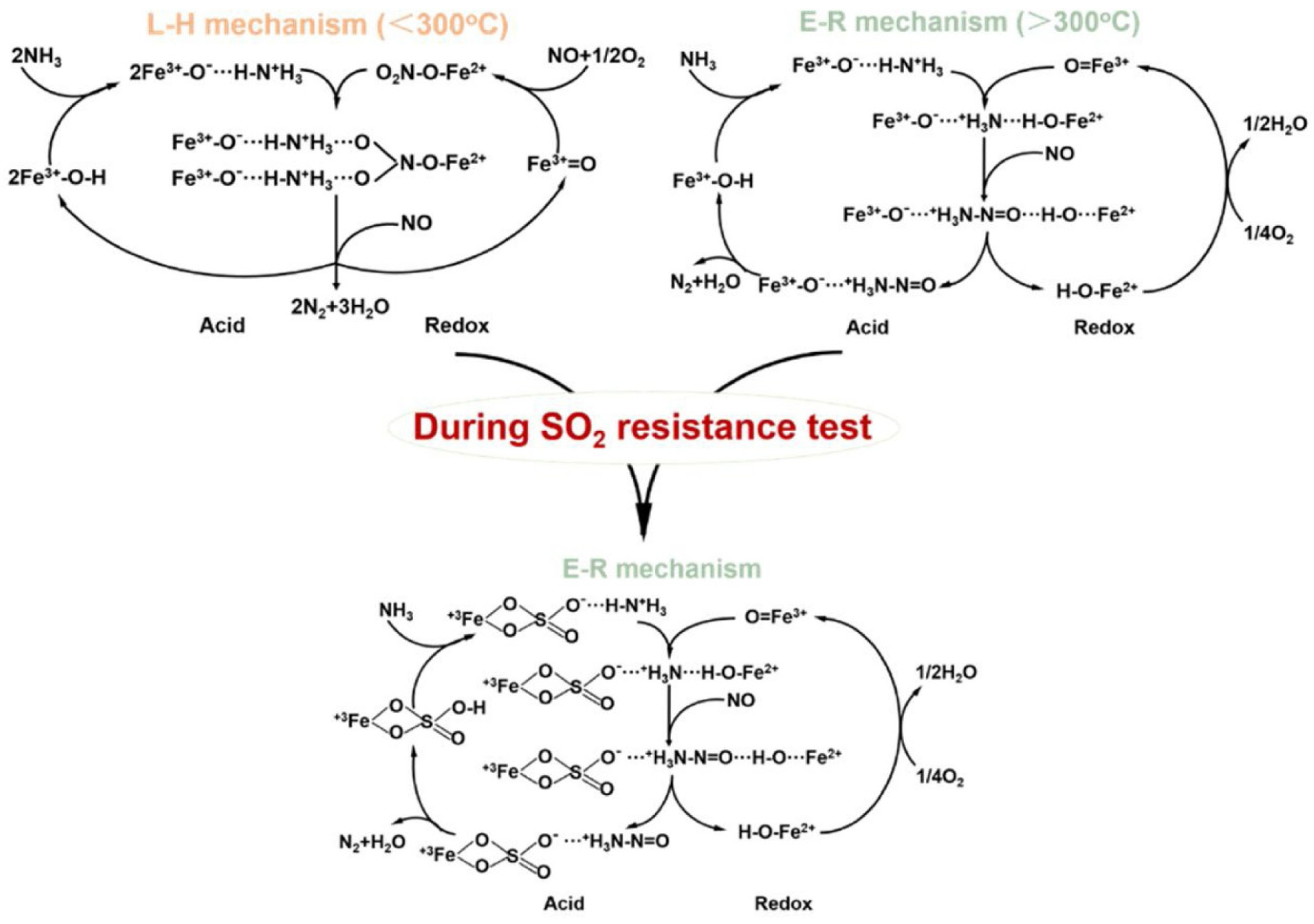 Molecules 29 04506 g003