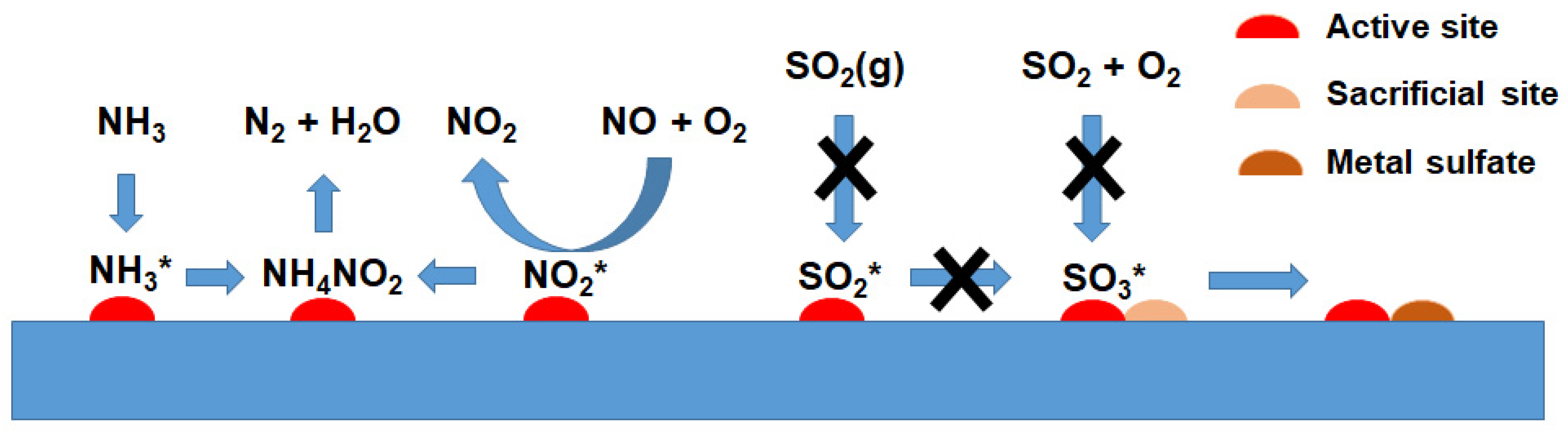 Molecules 29 04506 g008