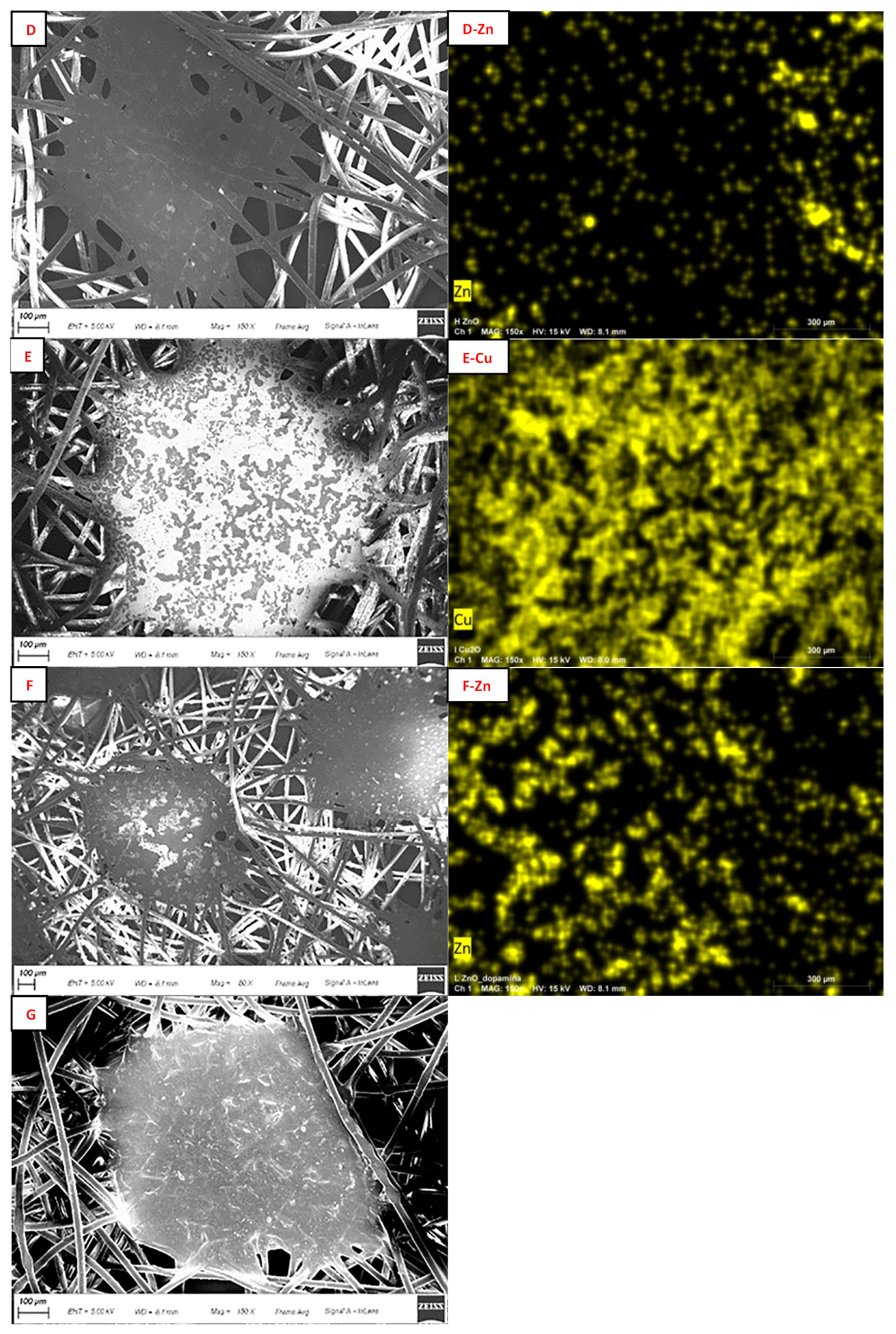 Molecules 29 04512 g003b