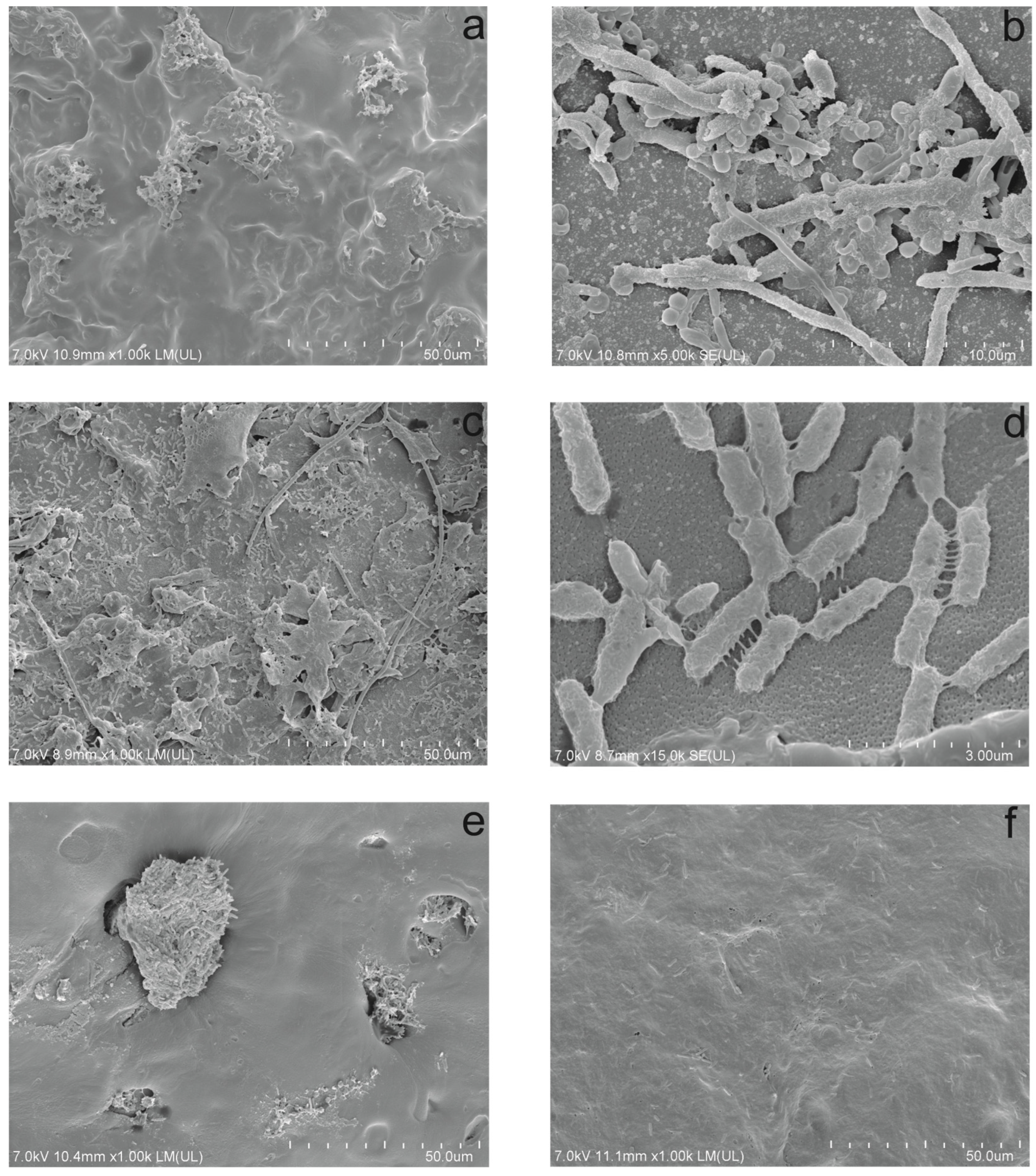 Molecules 29 04520 g001