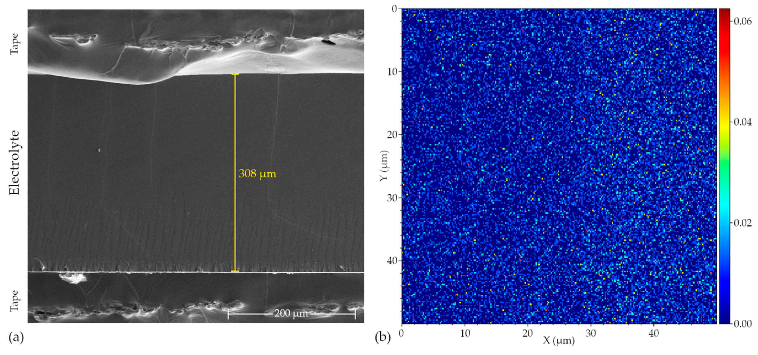 Molecules 29 04526 g007