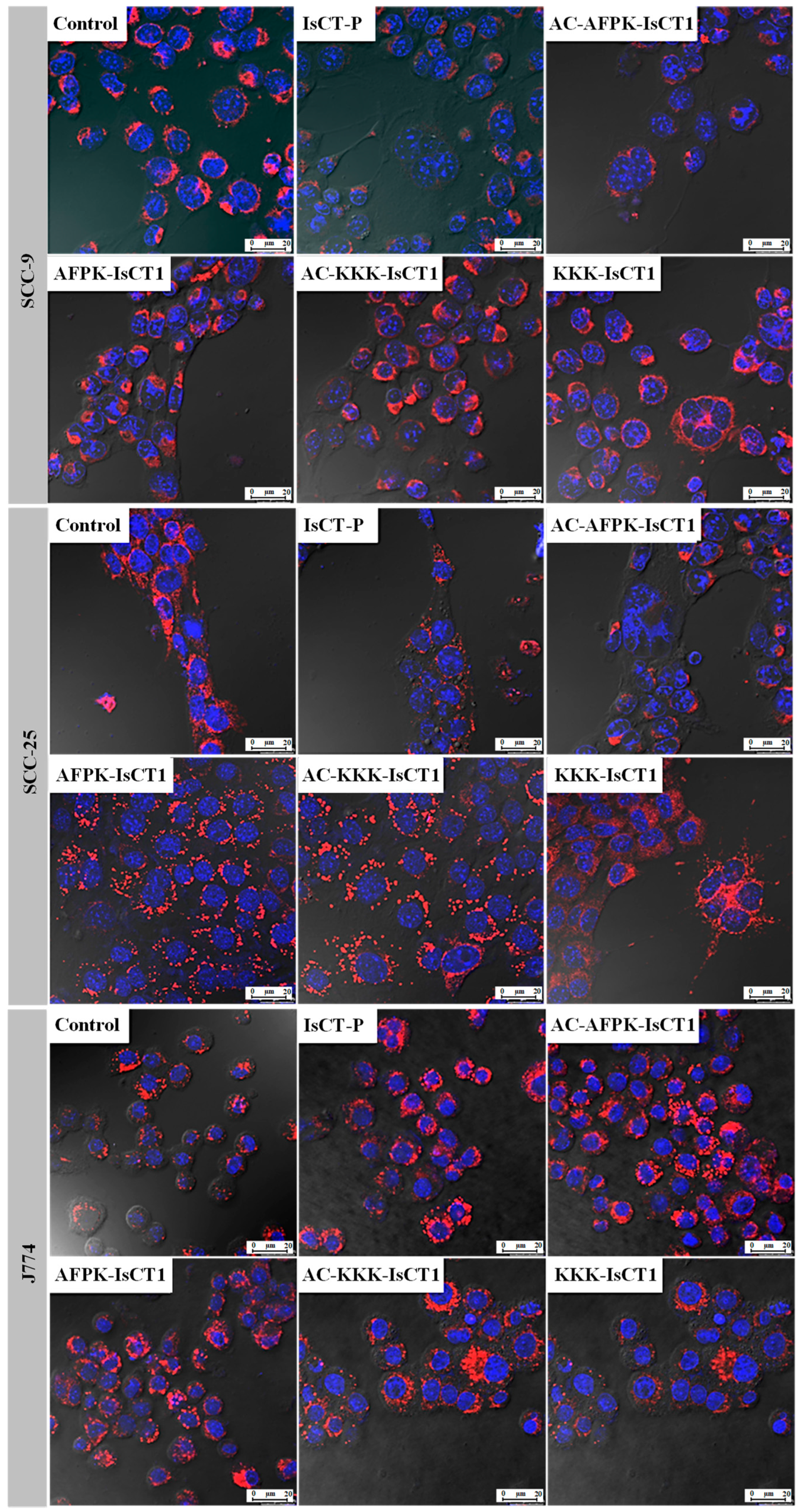 Molecules 29 04533 g005