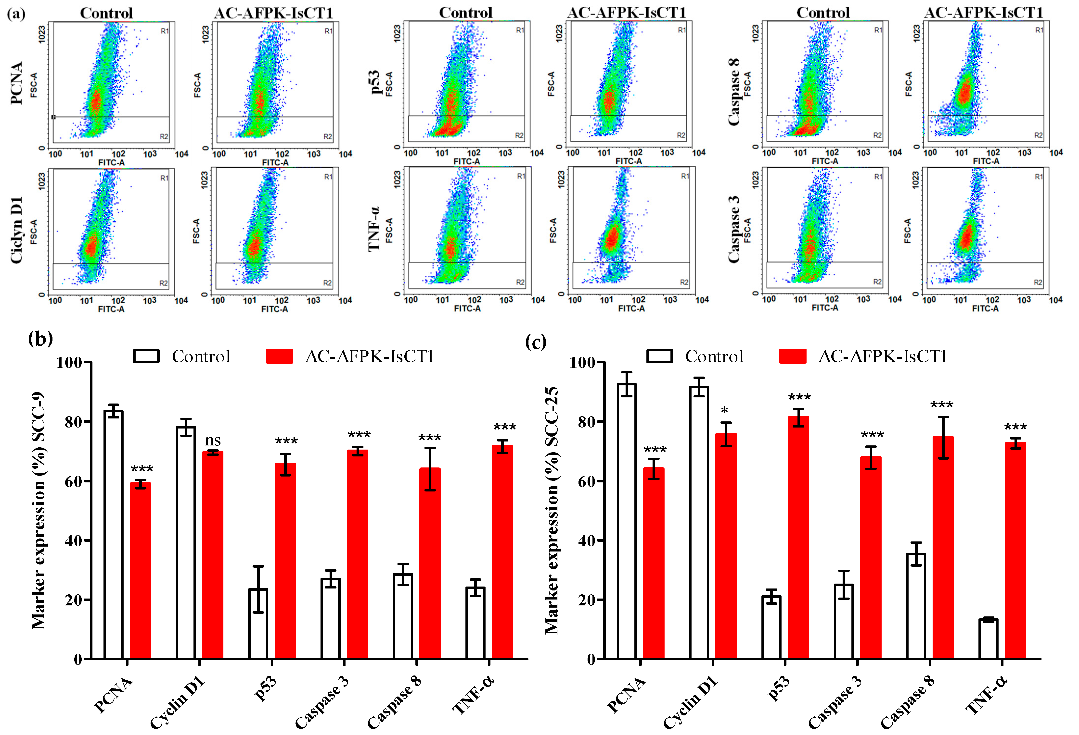 Molecules 29 04533 g006