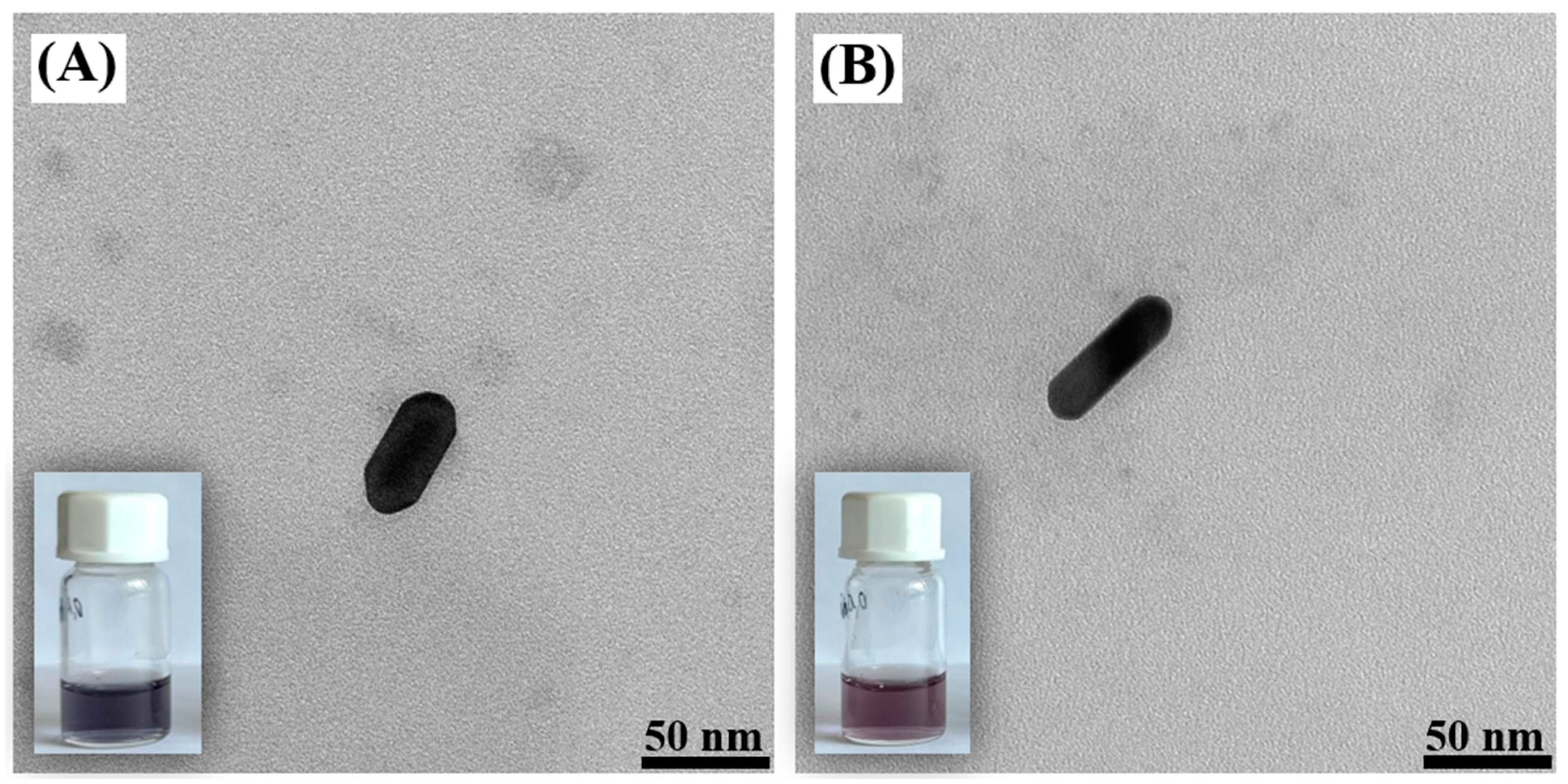 Molecules 29 04540 g005