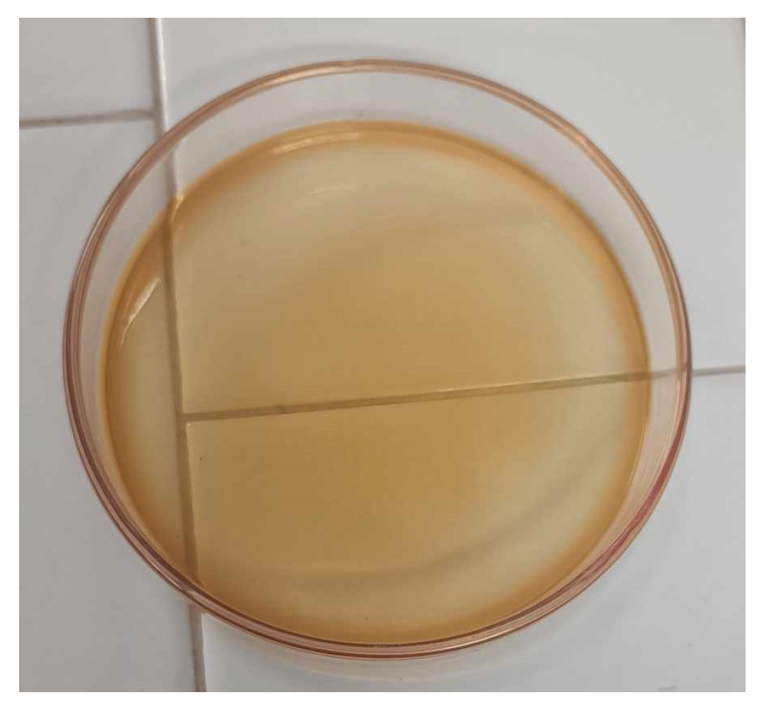 Molecules 29 04545 g017 Molecules 29 04545 g017