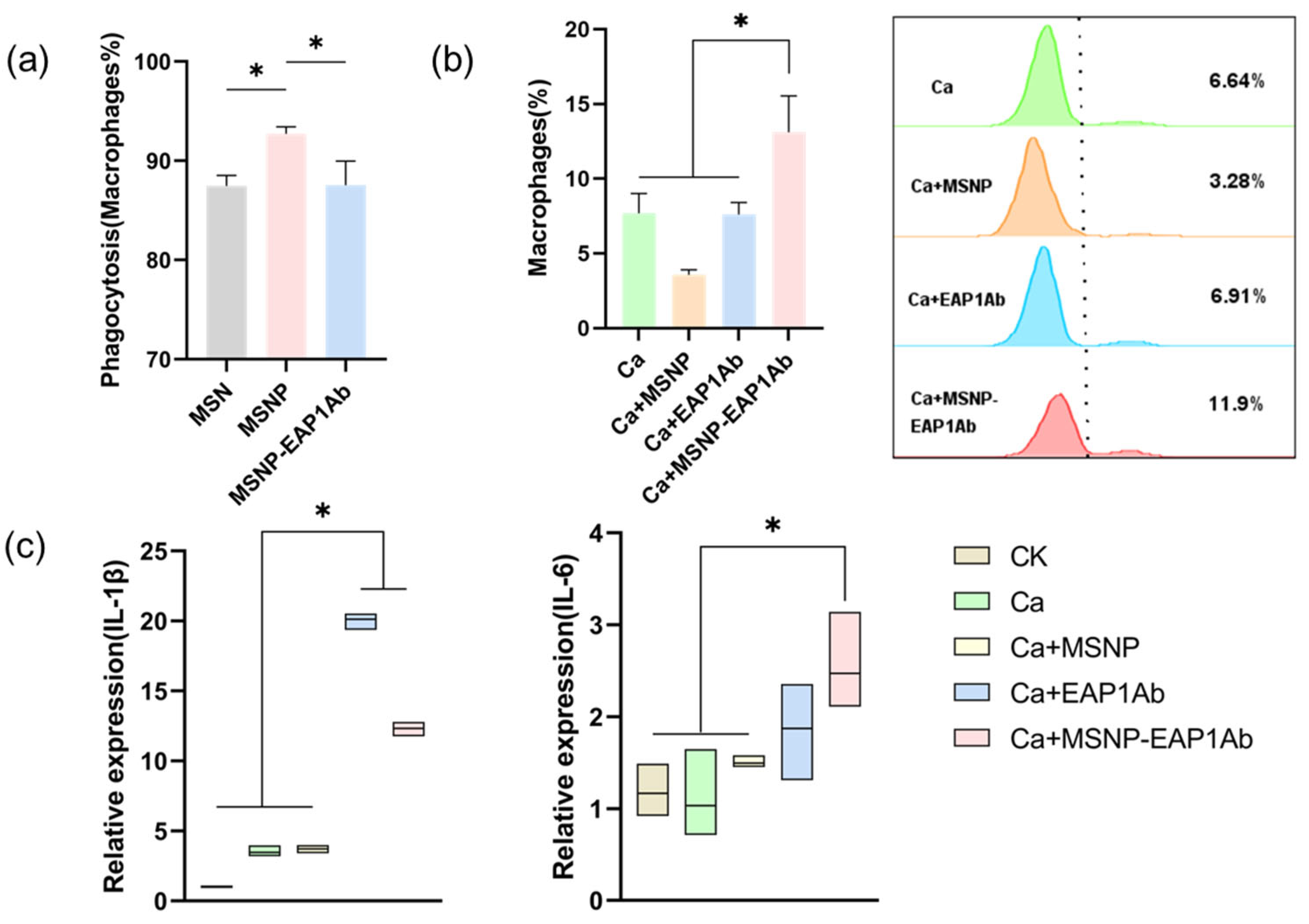 Molecules 29 04547 g003