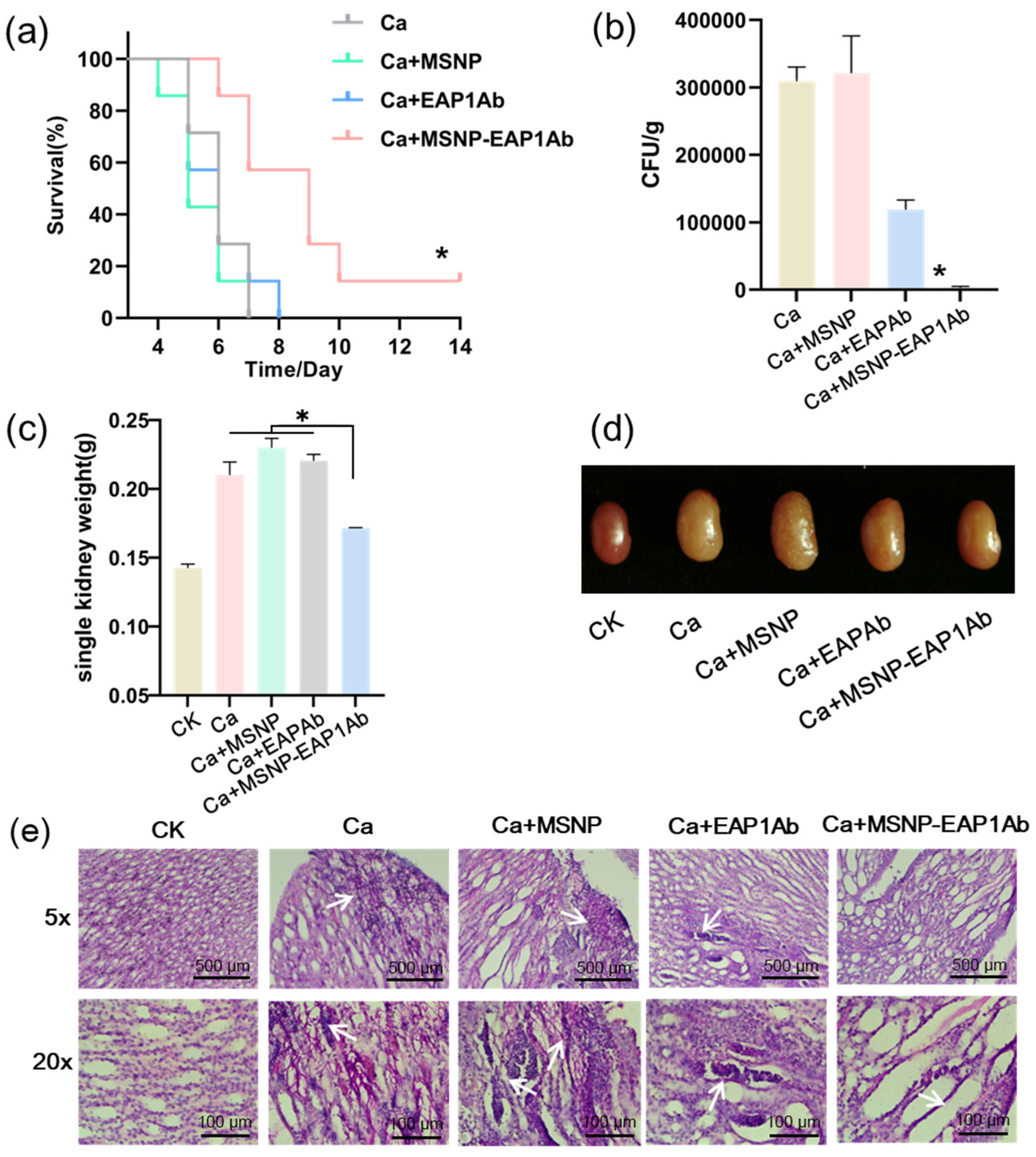 Molecules 29 04547 g004