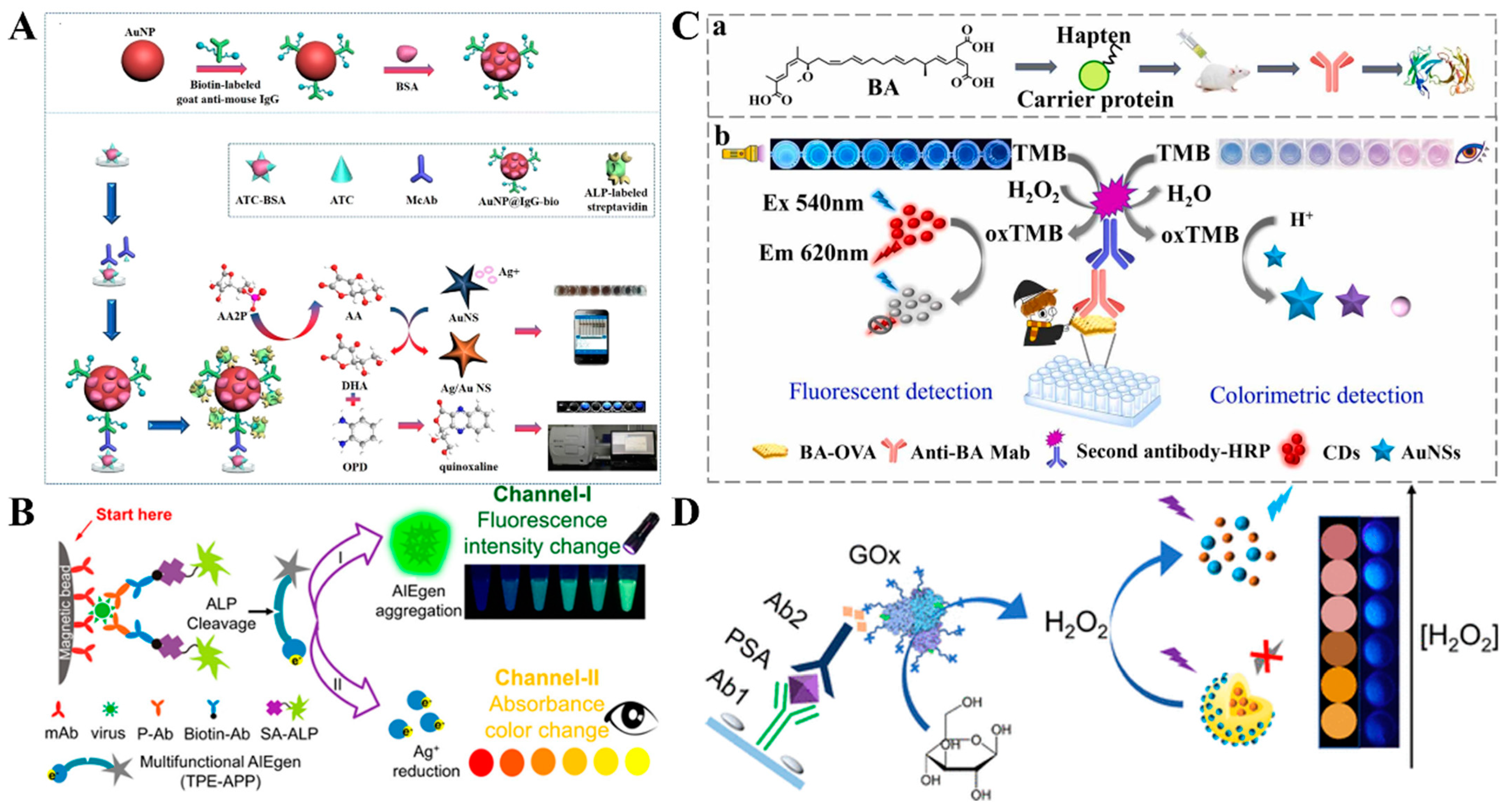 Molecules 29 04551 g007