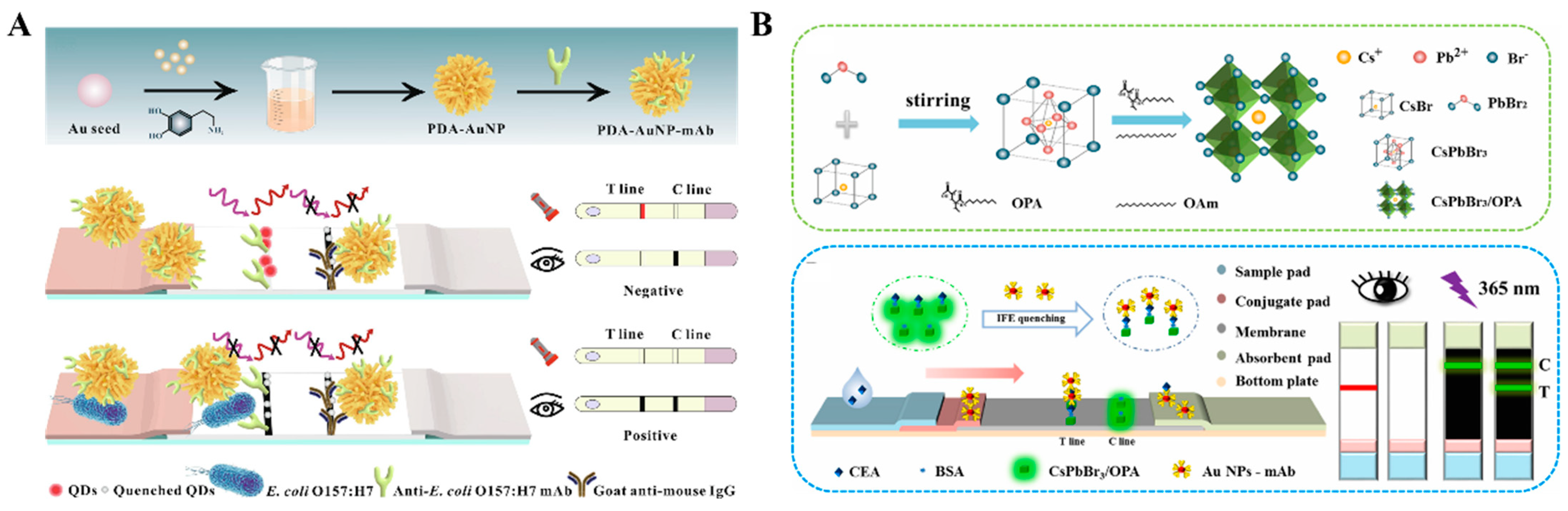 Molecules 29 04551 g010