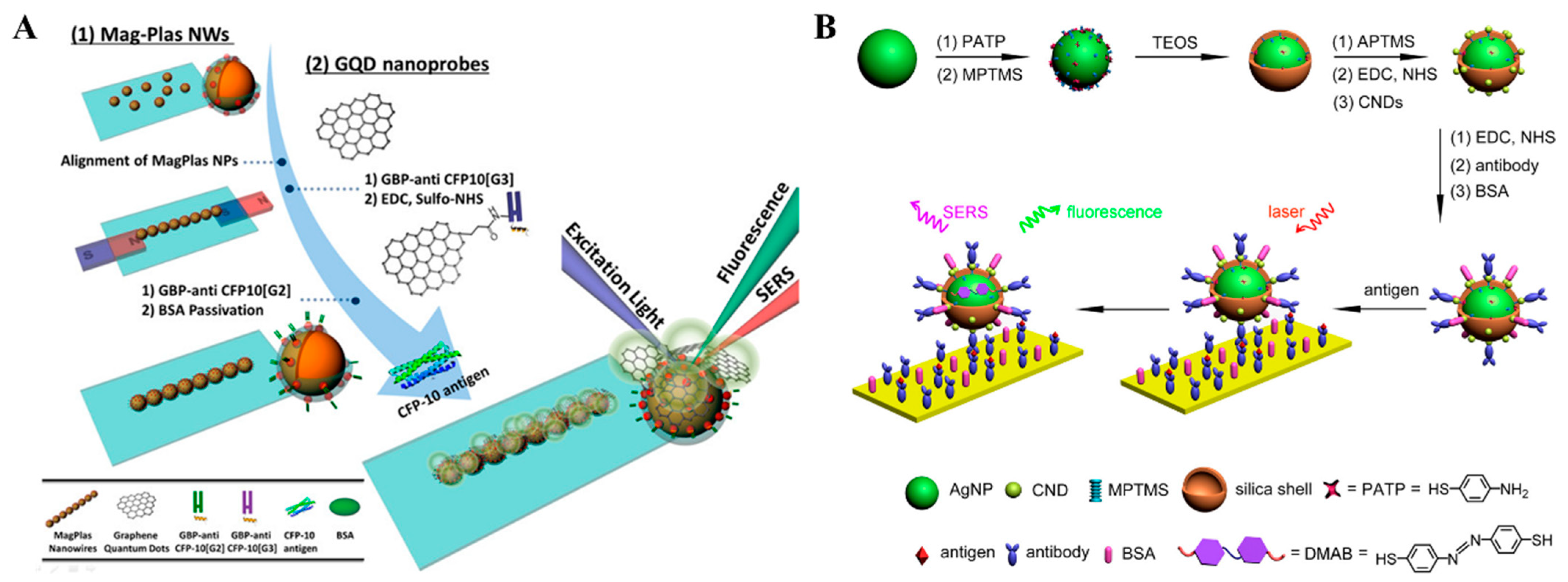 Molecules 29 04551 g013
