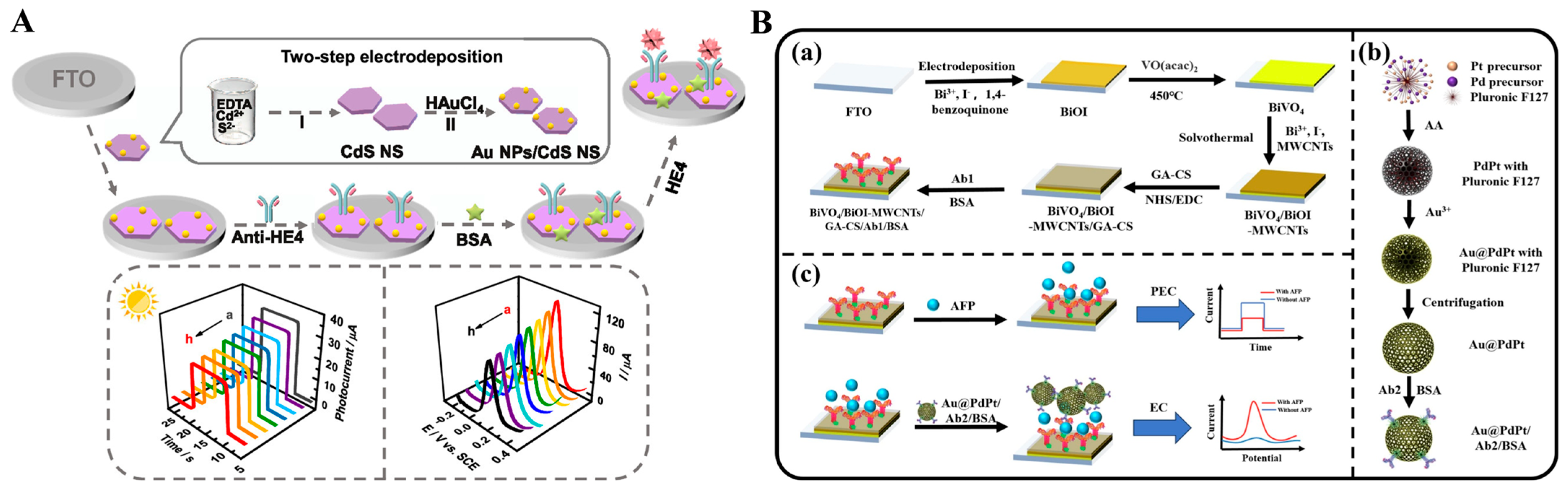 Molecules 29 04551 g014