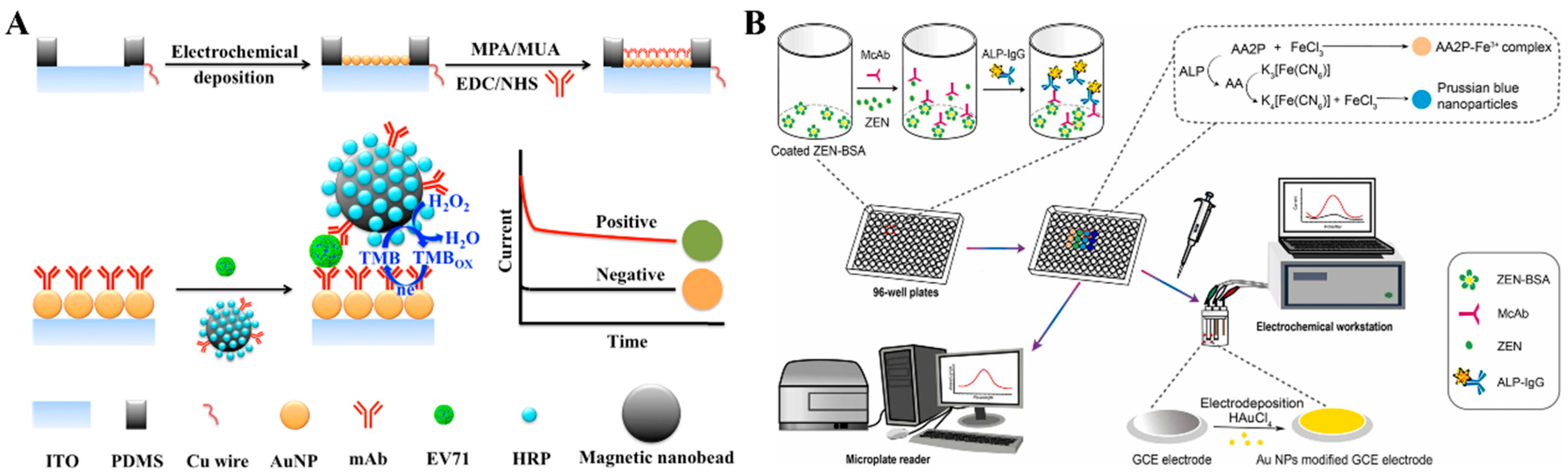 Molecules 29 04551 g016