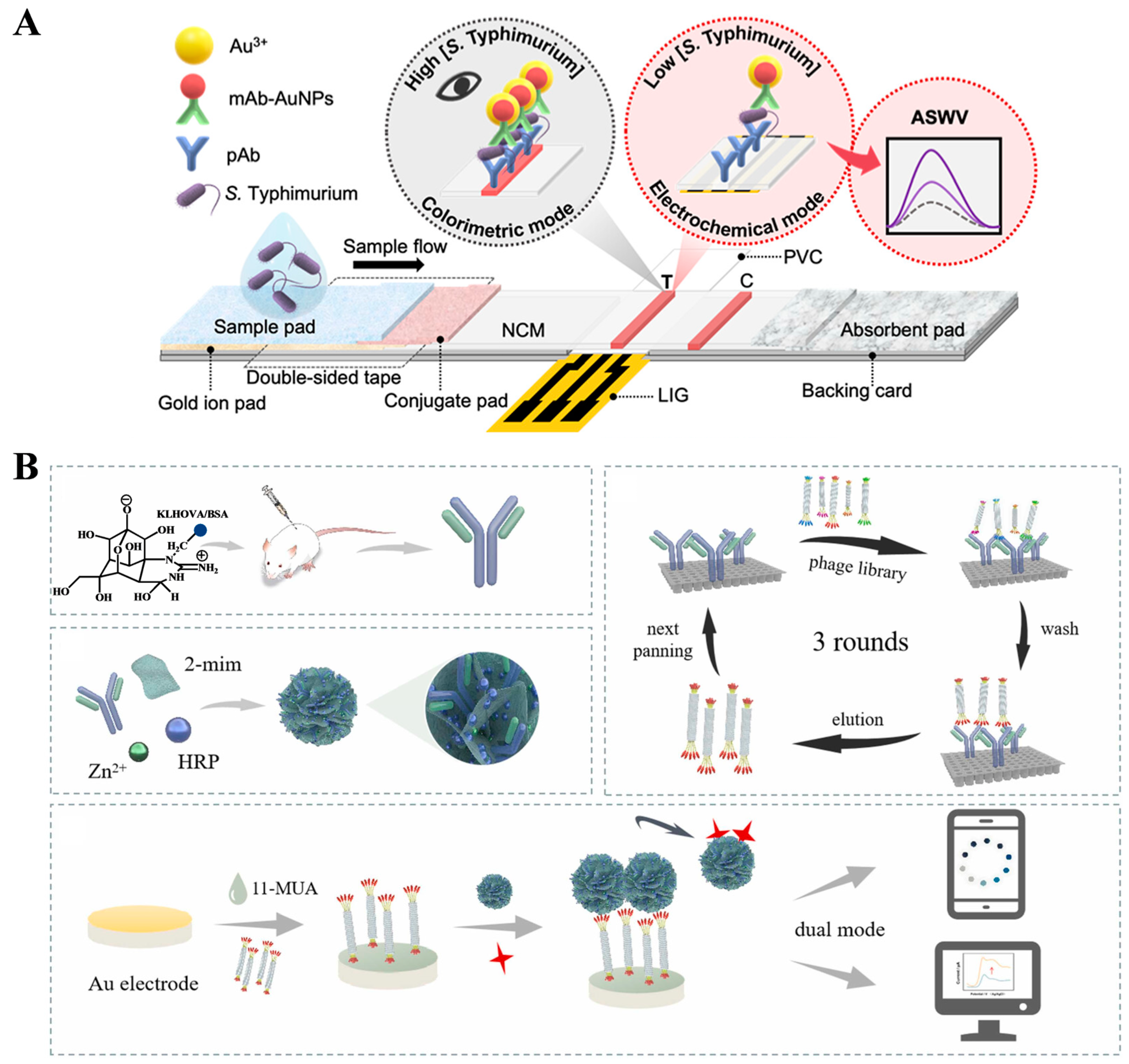 Molecules 29 04551 g017